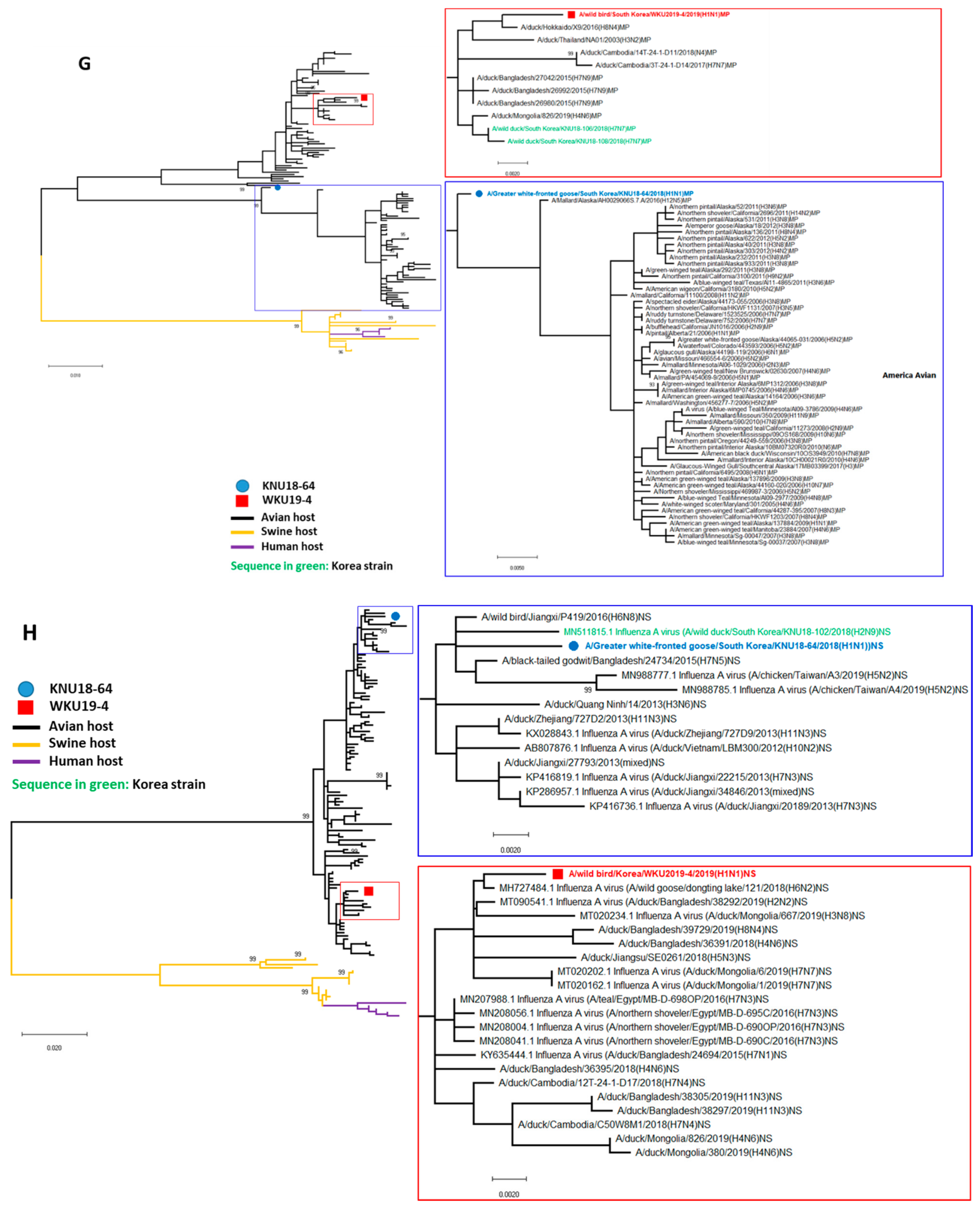 Viruses 13 00030 g002d Viruses 13 00030 g002d