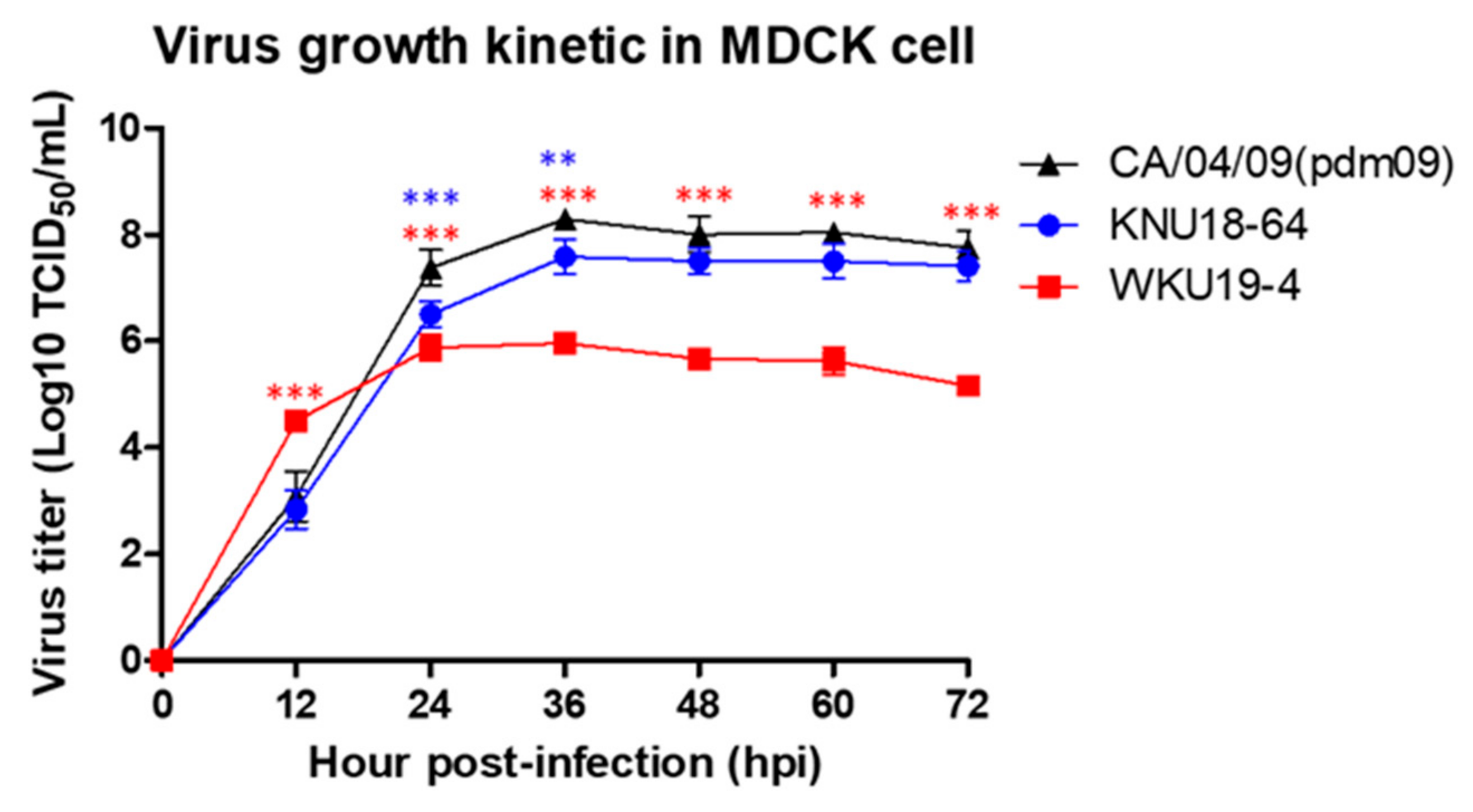 Viruses 13 00030 g004 Viruses 13 00030 g004
