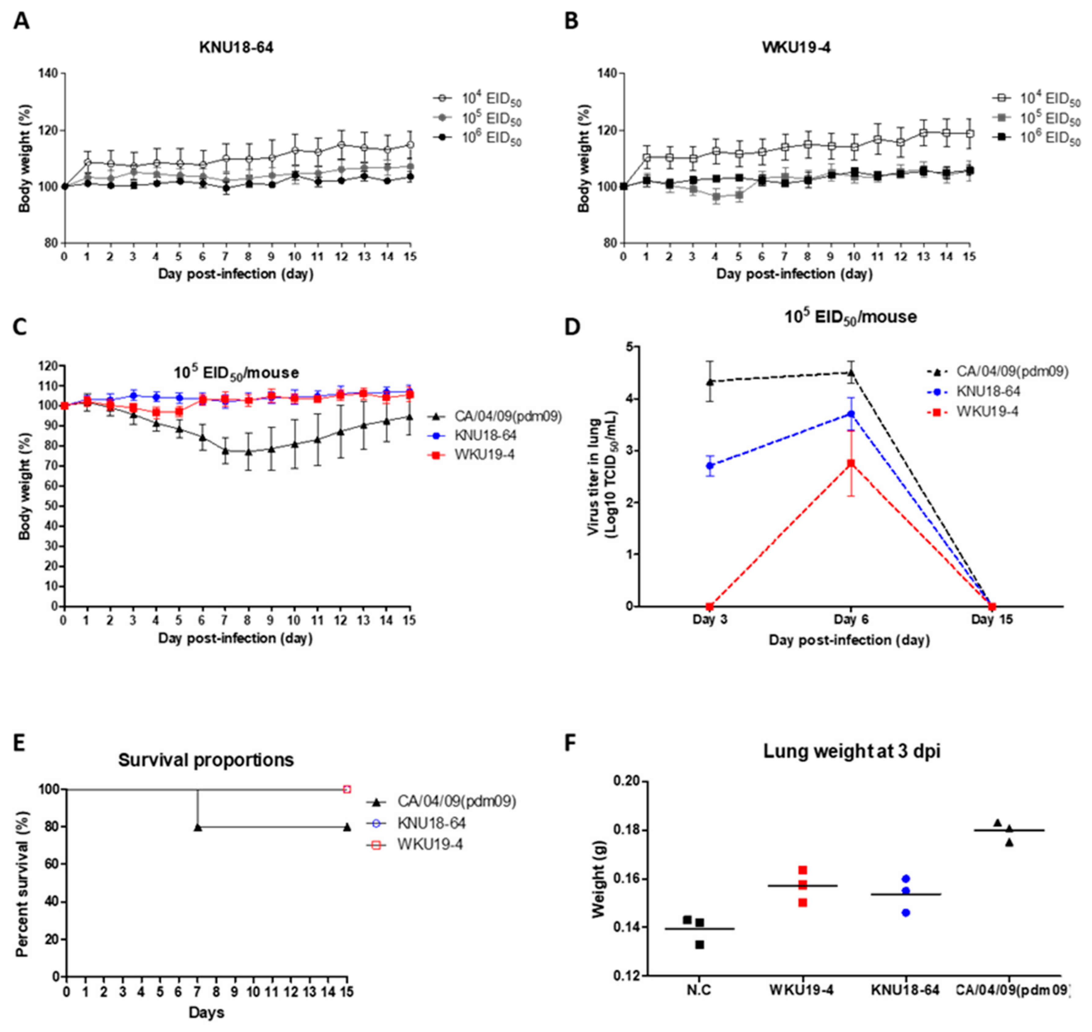 Viruses 13 00030 g005 Viruses 13 00030 g005