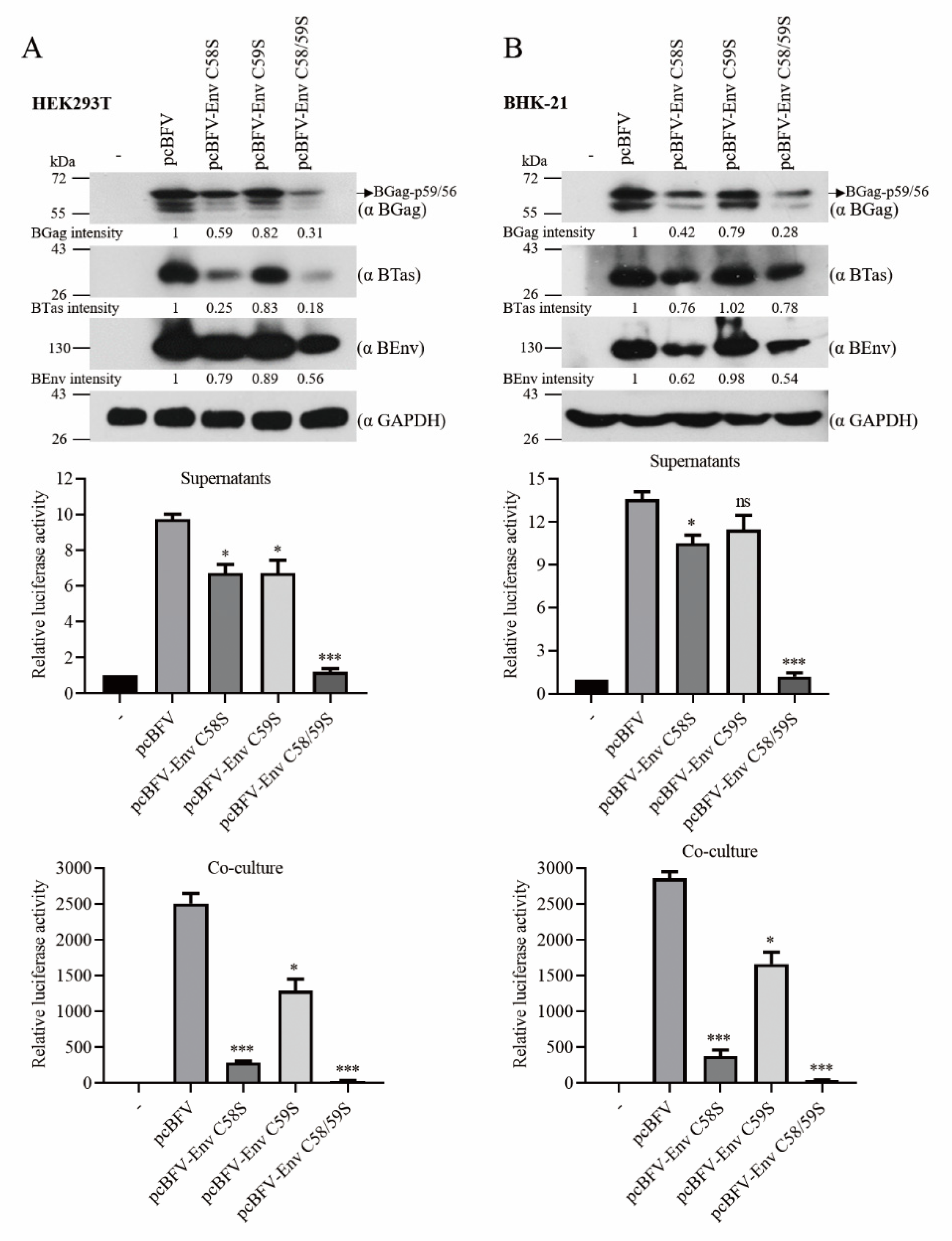 Viruses 13 00031 g005 Viruses 13 00031 g005