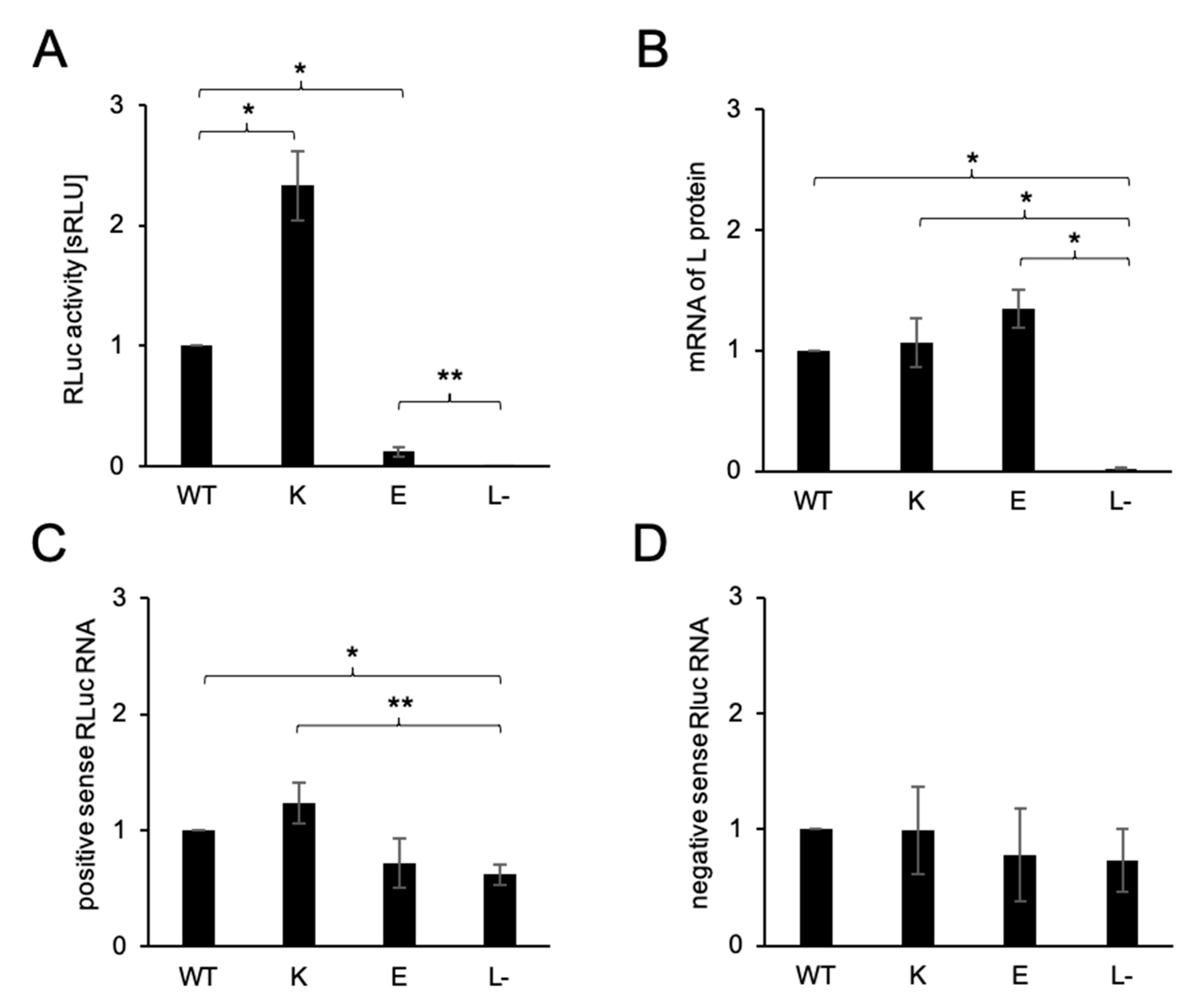 Viruses 13 00033 g003 Viruses 13 00033 g003