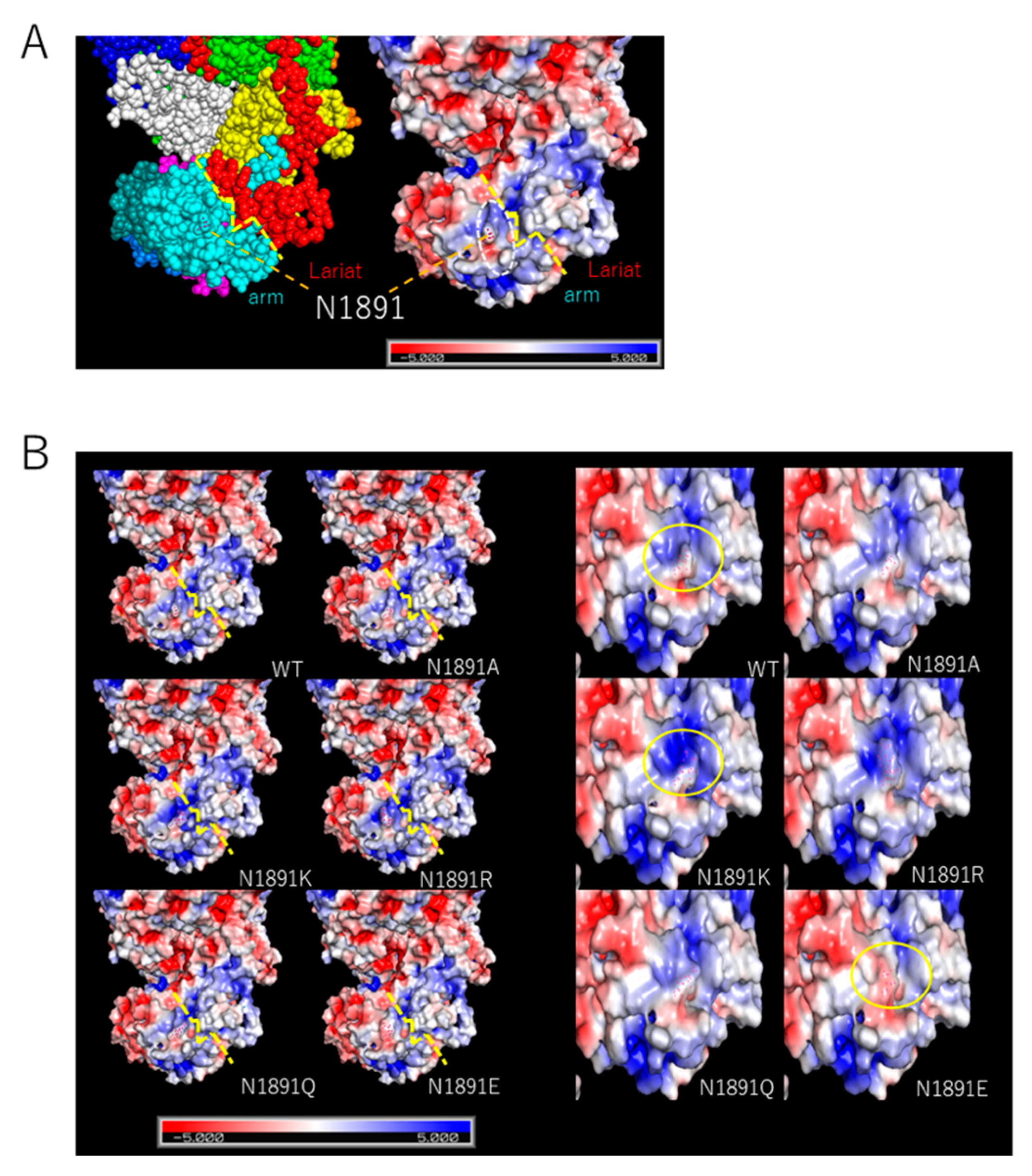 Viruses 13 00033 g004 Viruses 13 00033 g004