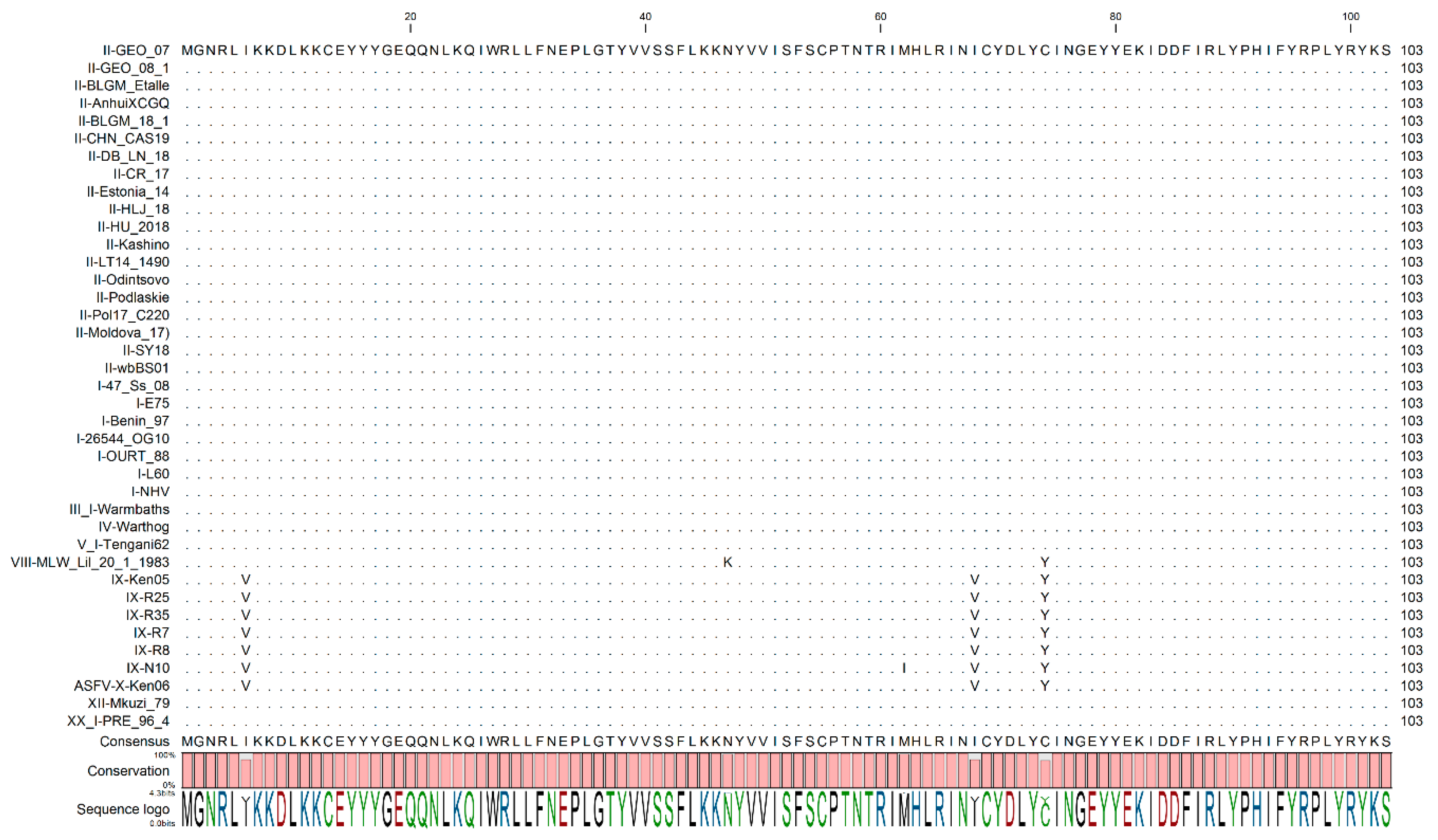 Viruses 13 00039 g001