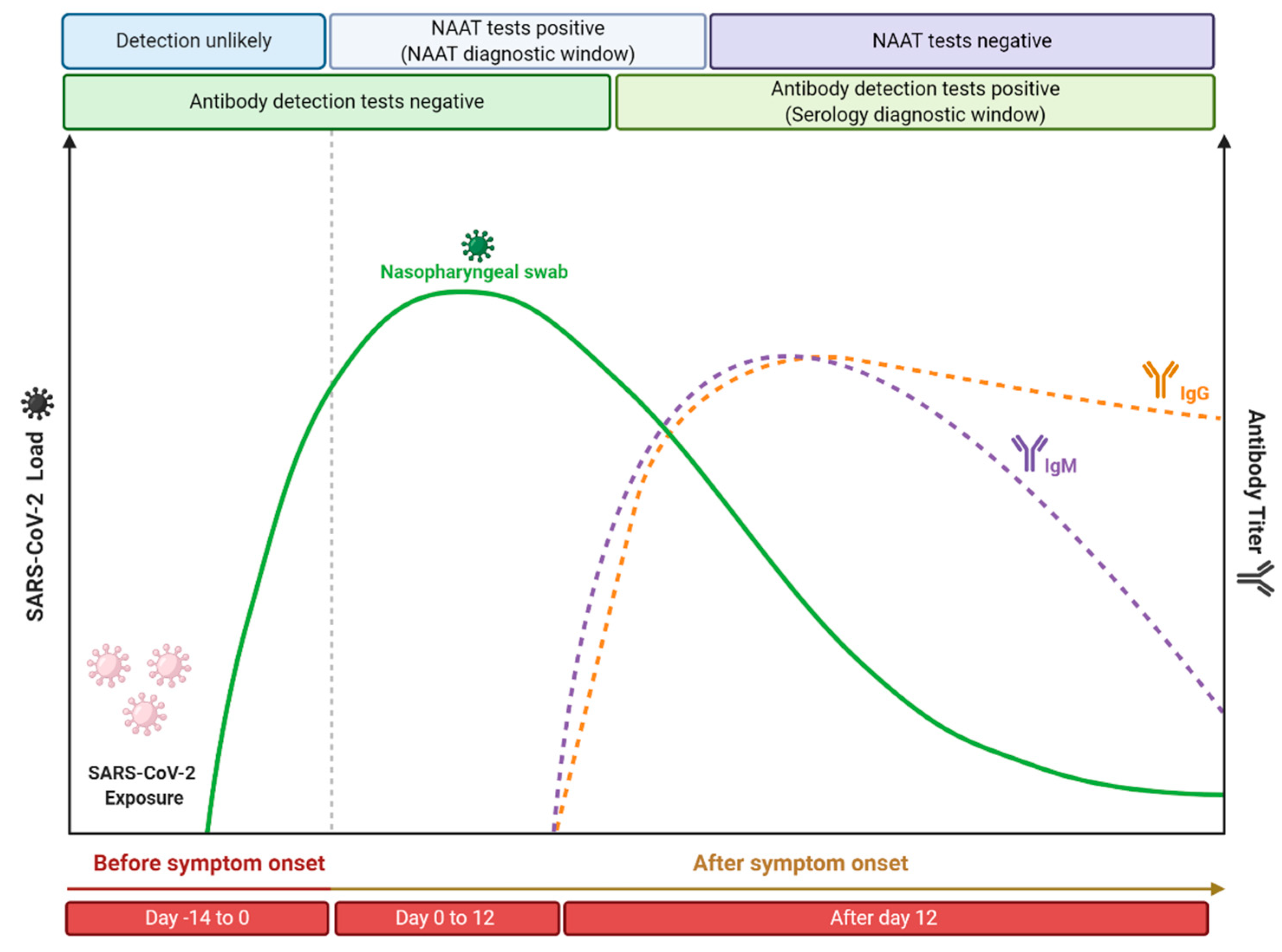 Viruses 13 00040 g004 Viruses 13 00040 g004