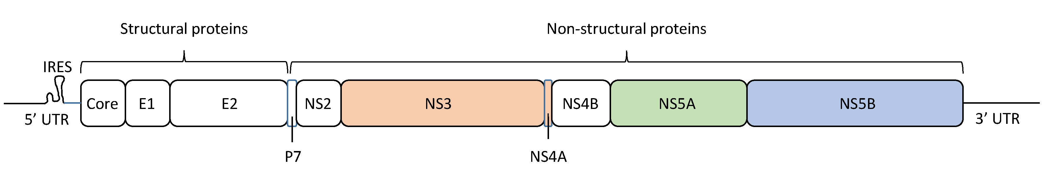 Viruses 13 00041 g001 Viruses 13 00041 g001