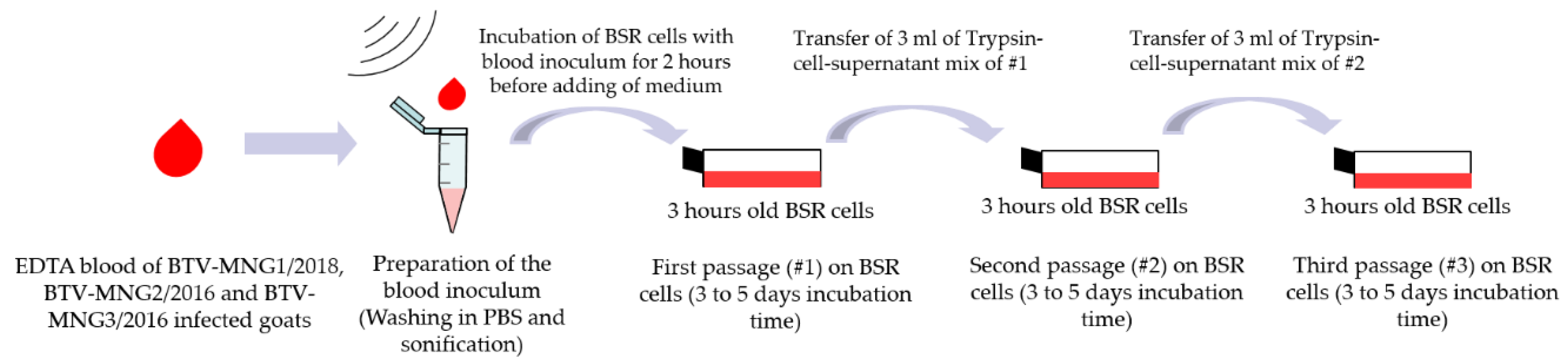Viruses 13 00042 g002 Viruses 13 00042 g002