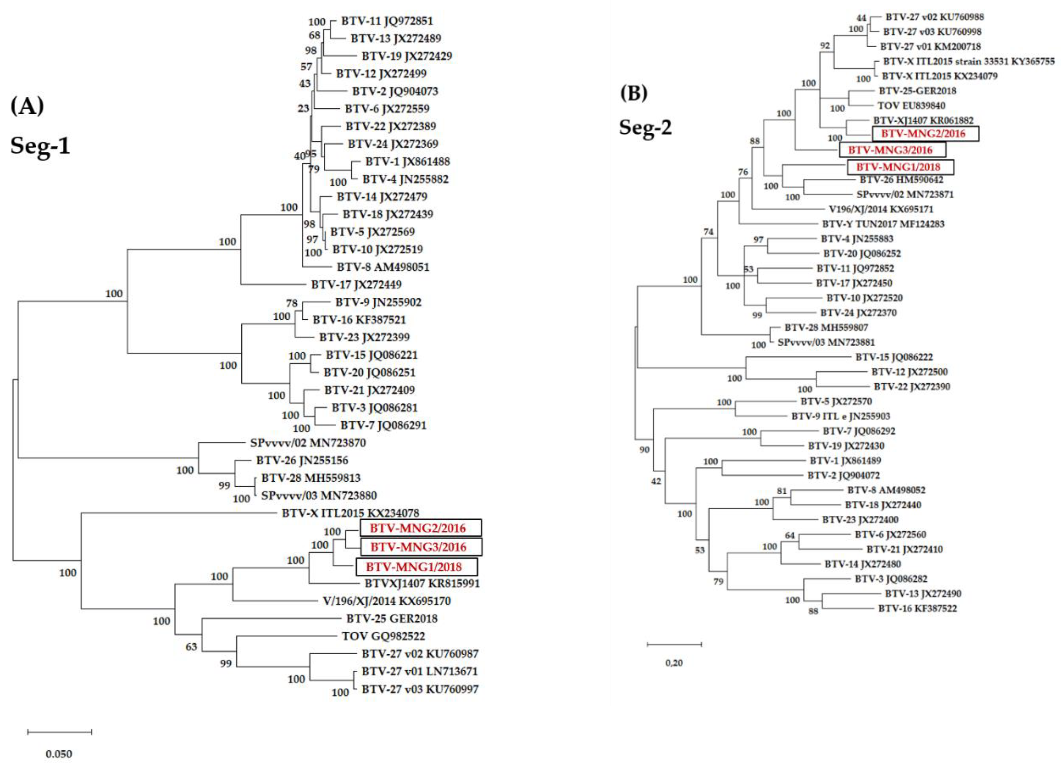 Viruses 13 00042 g003a Viruses 13 00042 g003a