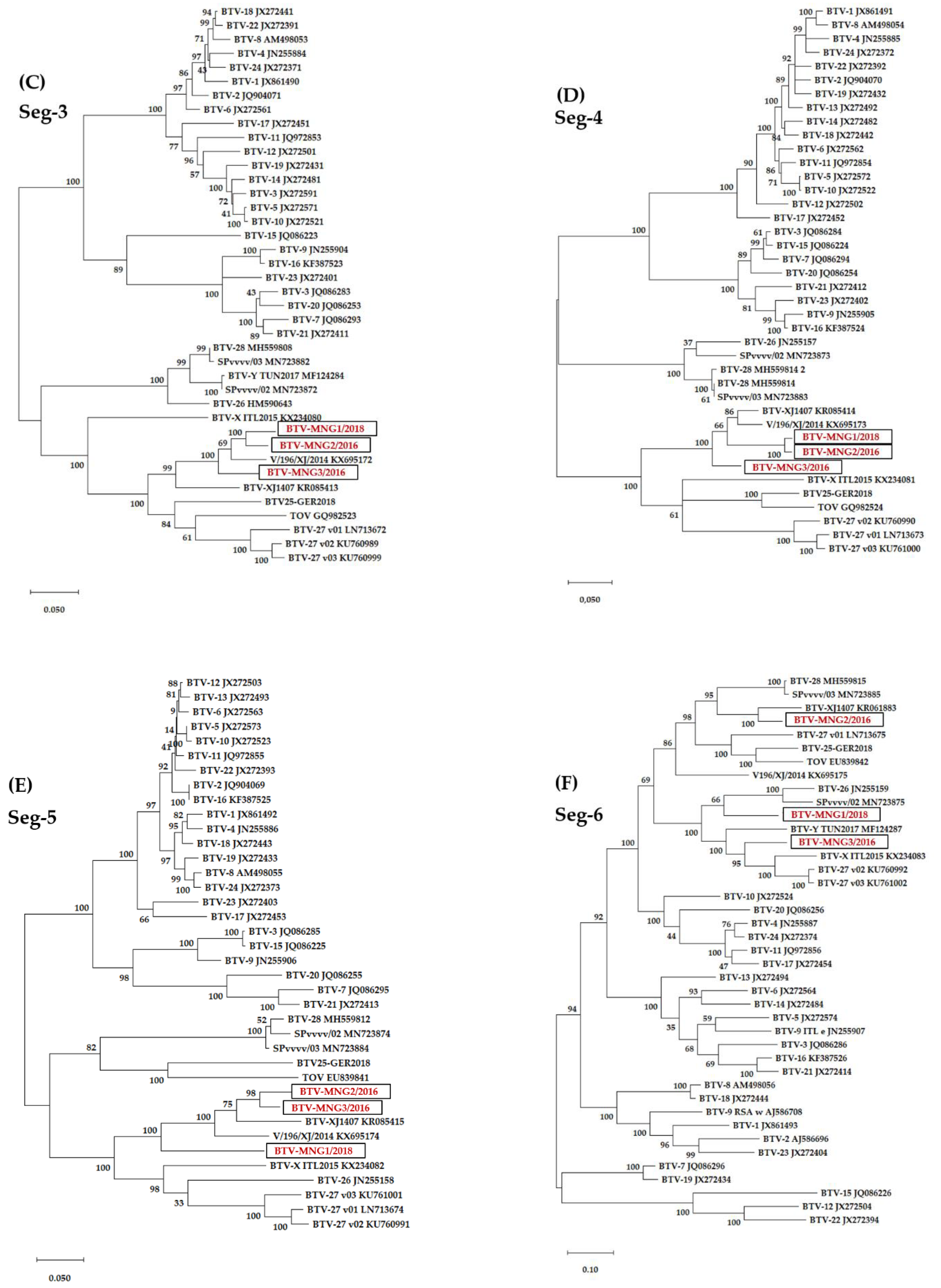 Viruses 13 00042 g003b Viruses 13 00042 g003b