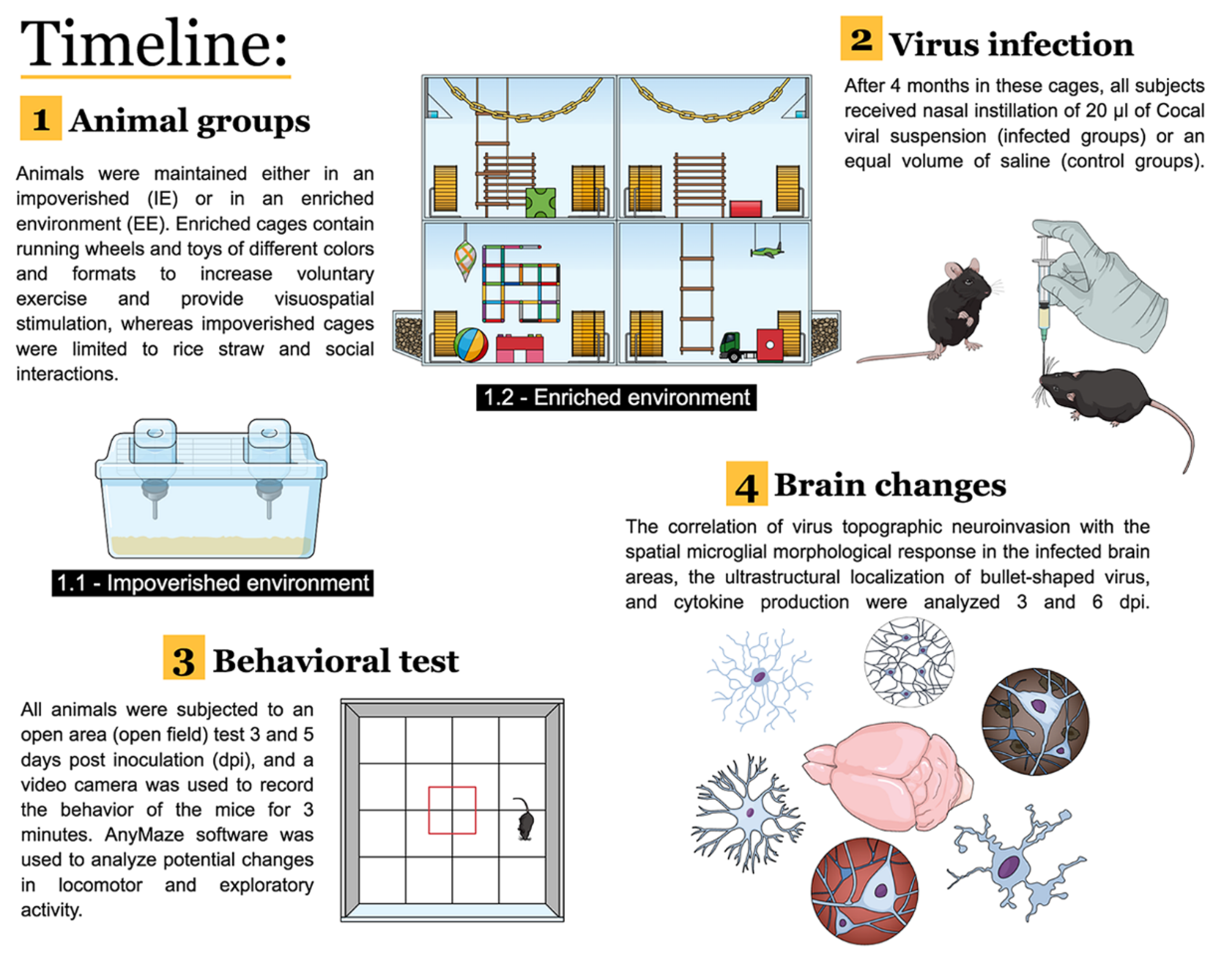 Viruses 13 00048 g001 Viruses 13 00048 g001