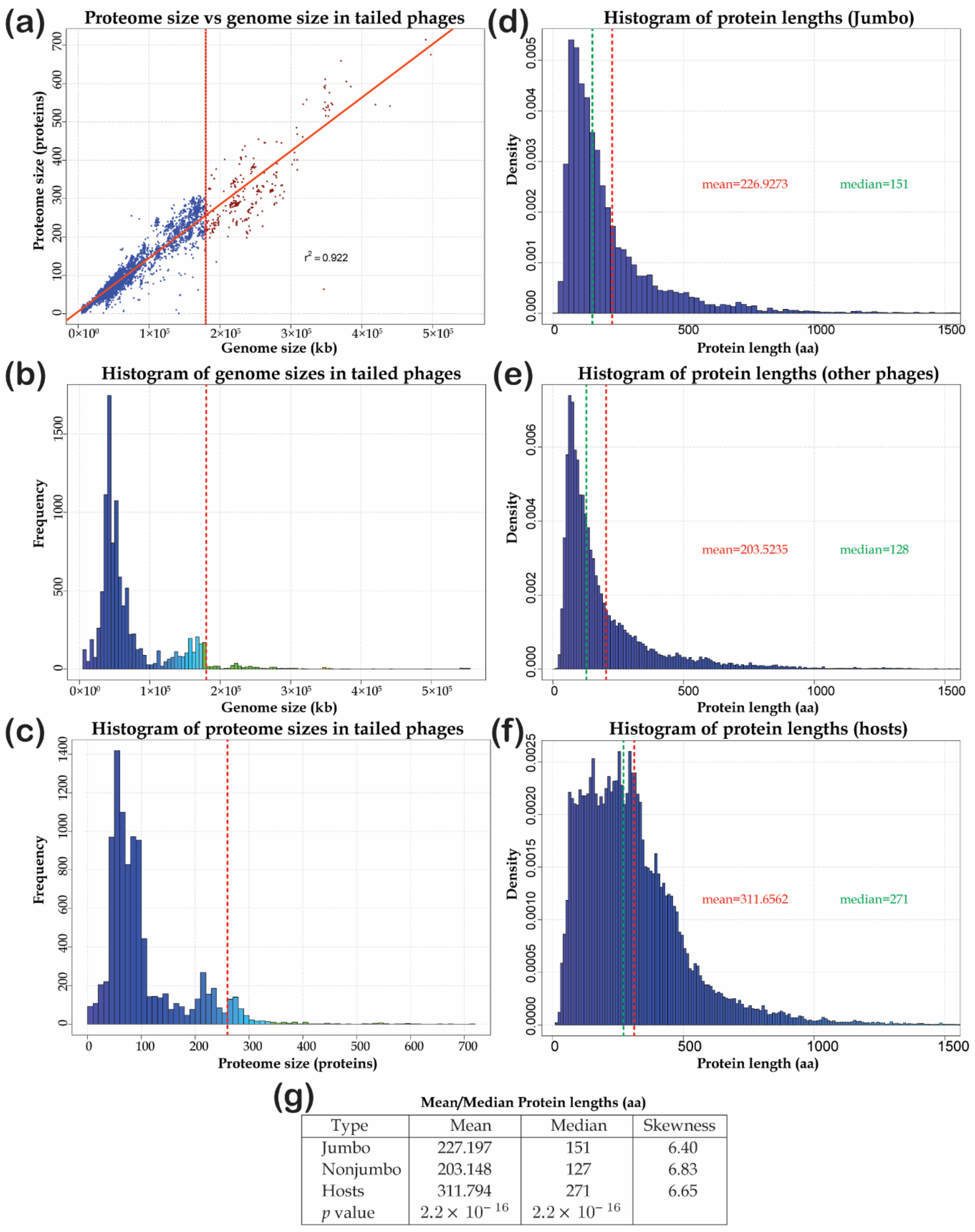 Viruses | Free Full-Text | Jumbo Phages: A Comparative Genomic 