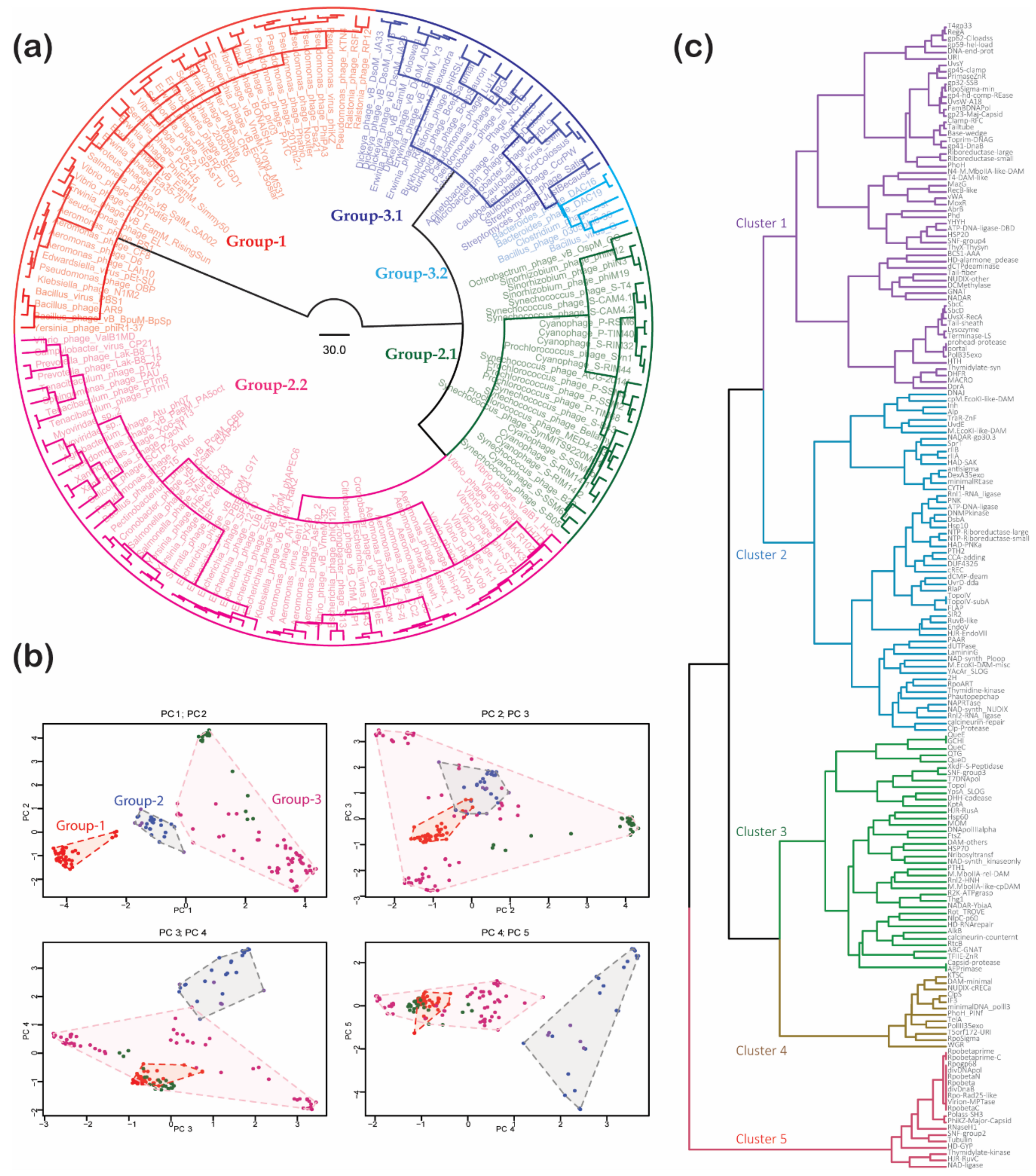 Viruses 13 00063 g002 Viruses 13 00063 g002
