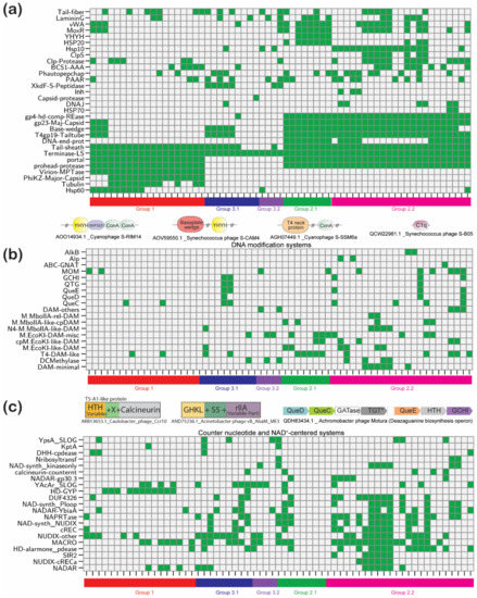 Jumbo Phages: A Comparative Genomic Overview of Core Jumbo Phages: A Comparative Genomic Overview of Core