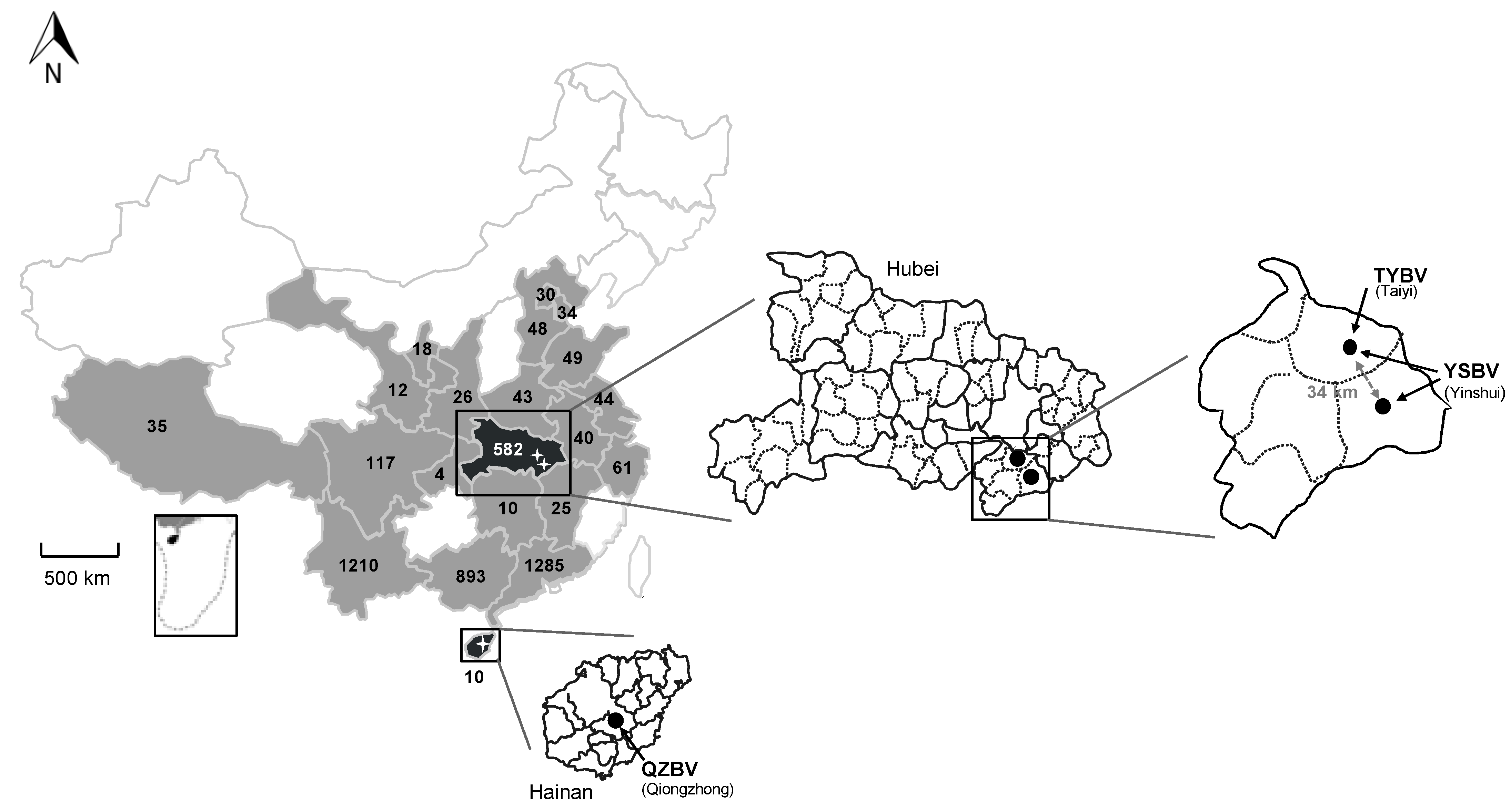 Viruses 13 00064 g001 Viruses 13 00064 g001