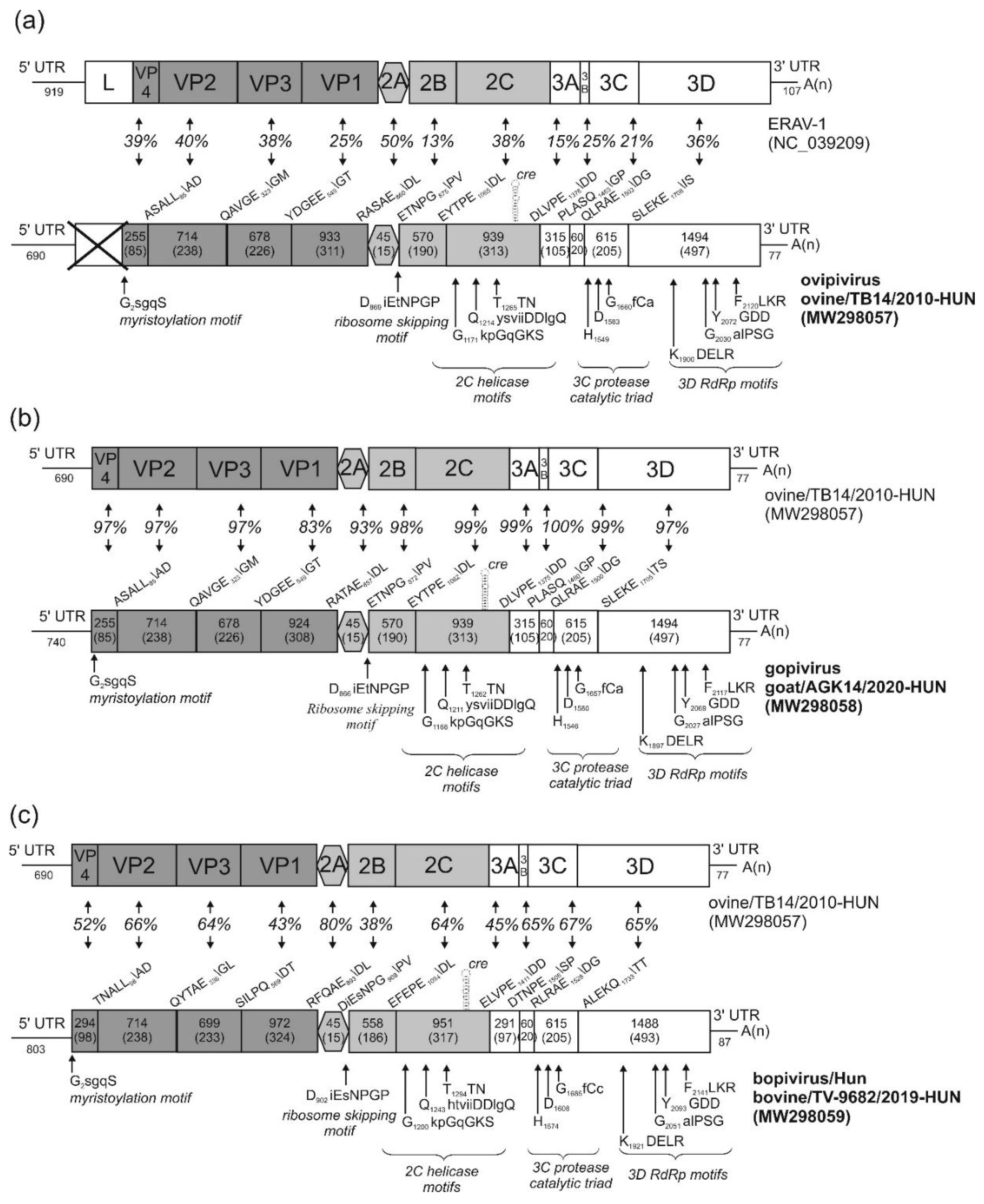 Viruses 13 00066 g002
