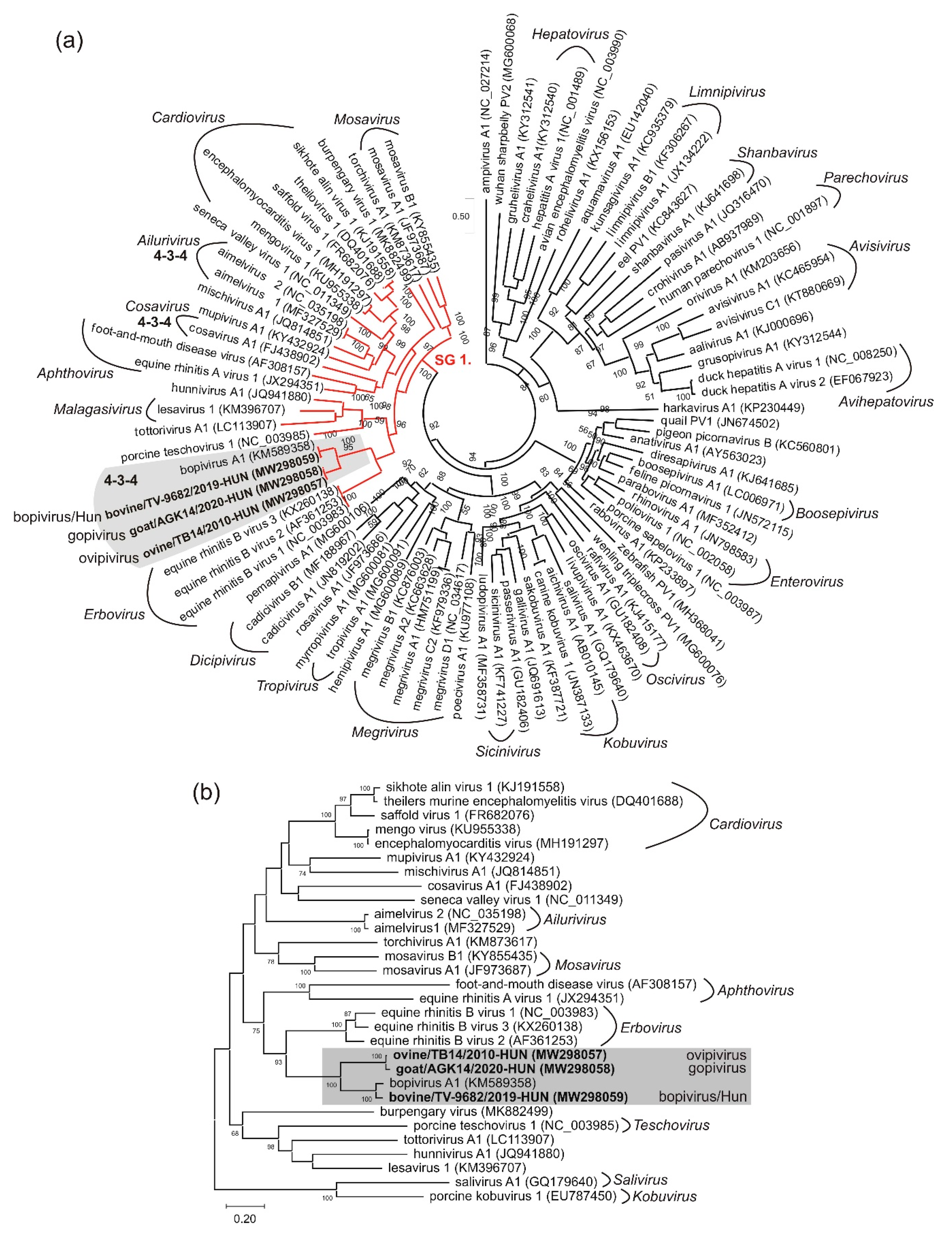 Viruses 13 00066 g004