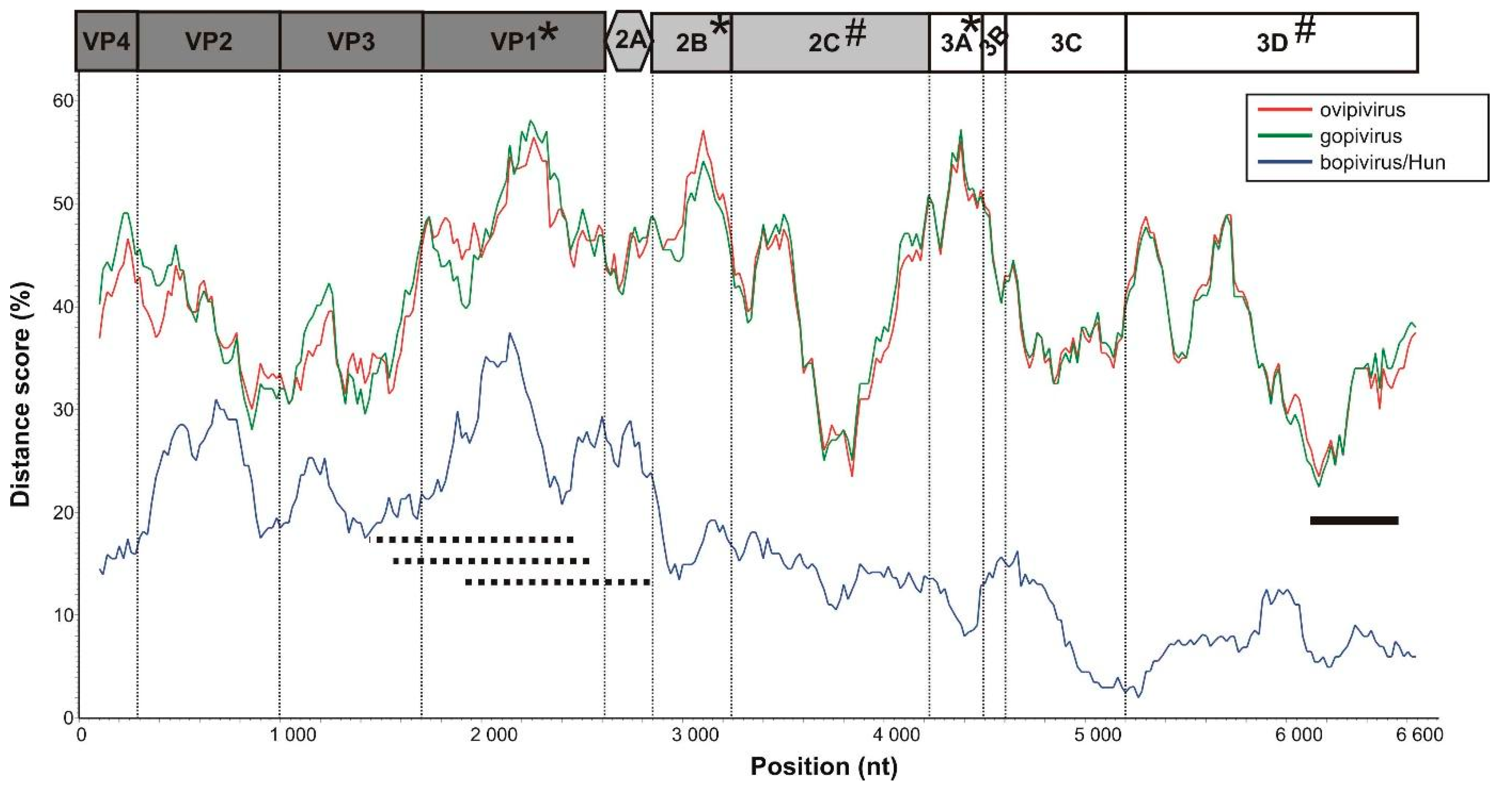 Viruses 13 00066 g005