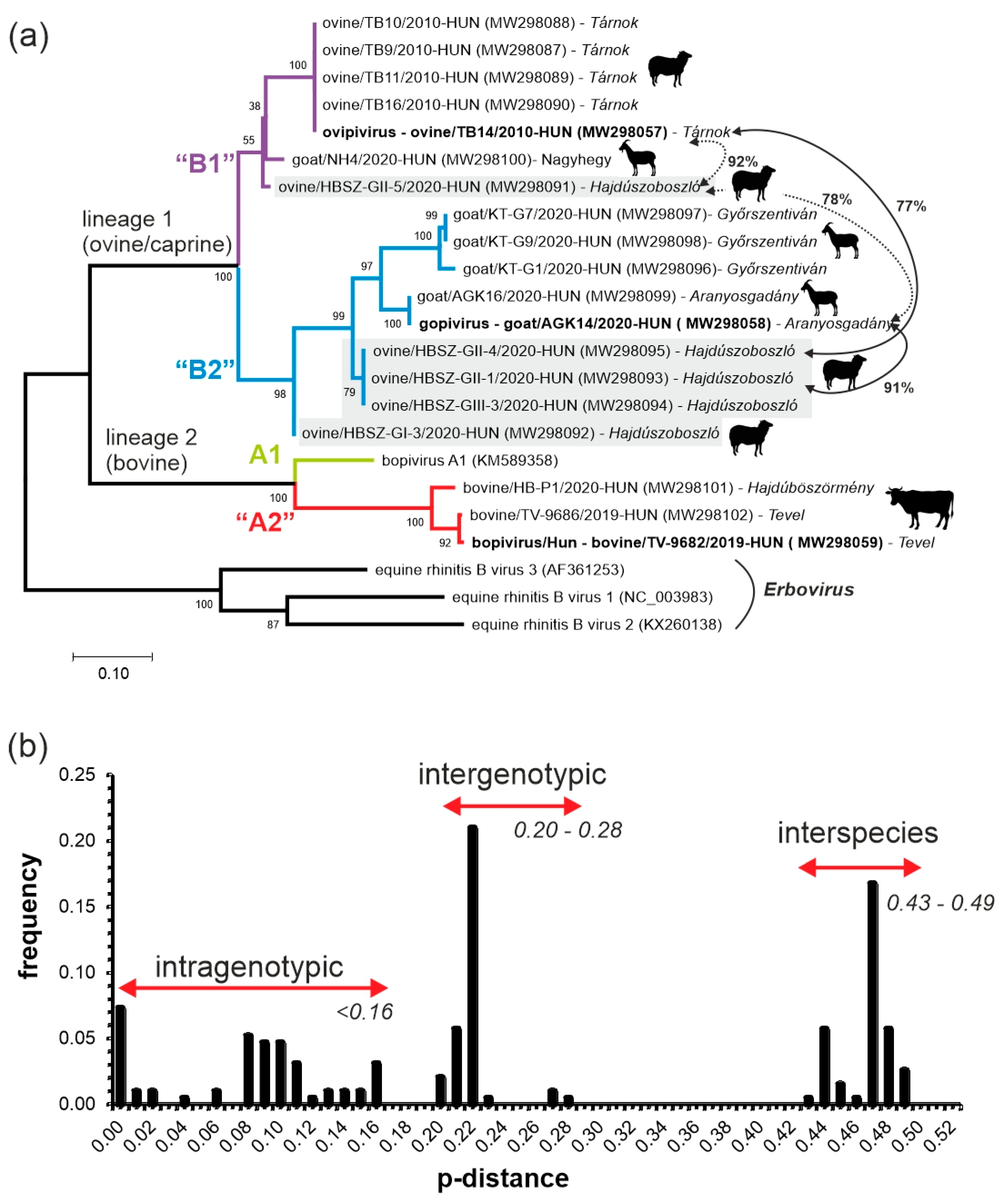 Viruses 13 00066 g007