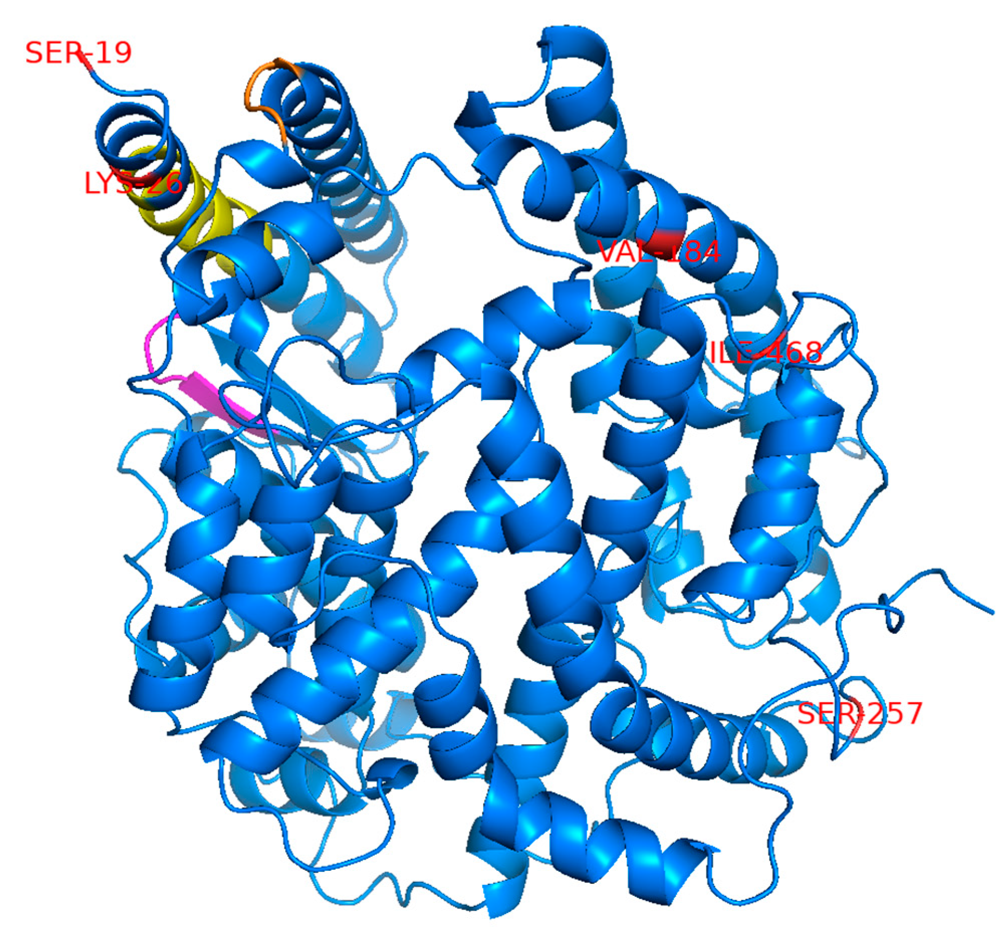 Viruses 13 00067 g001