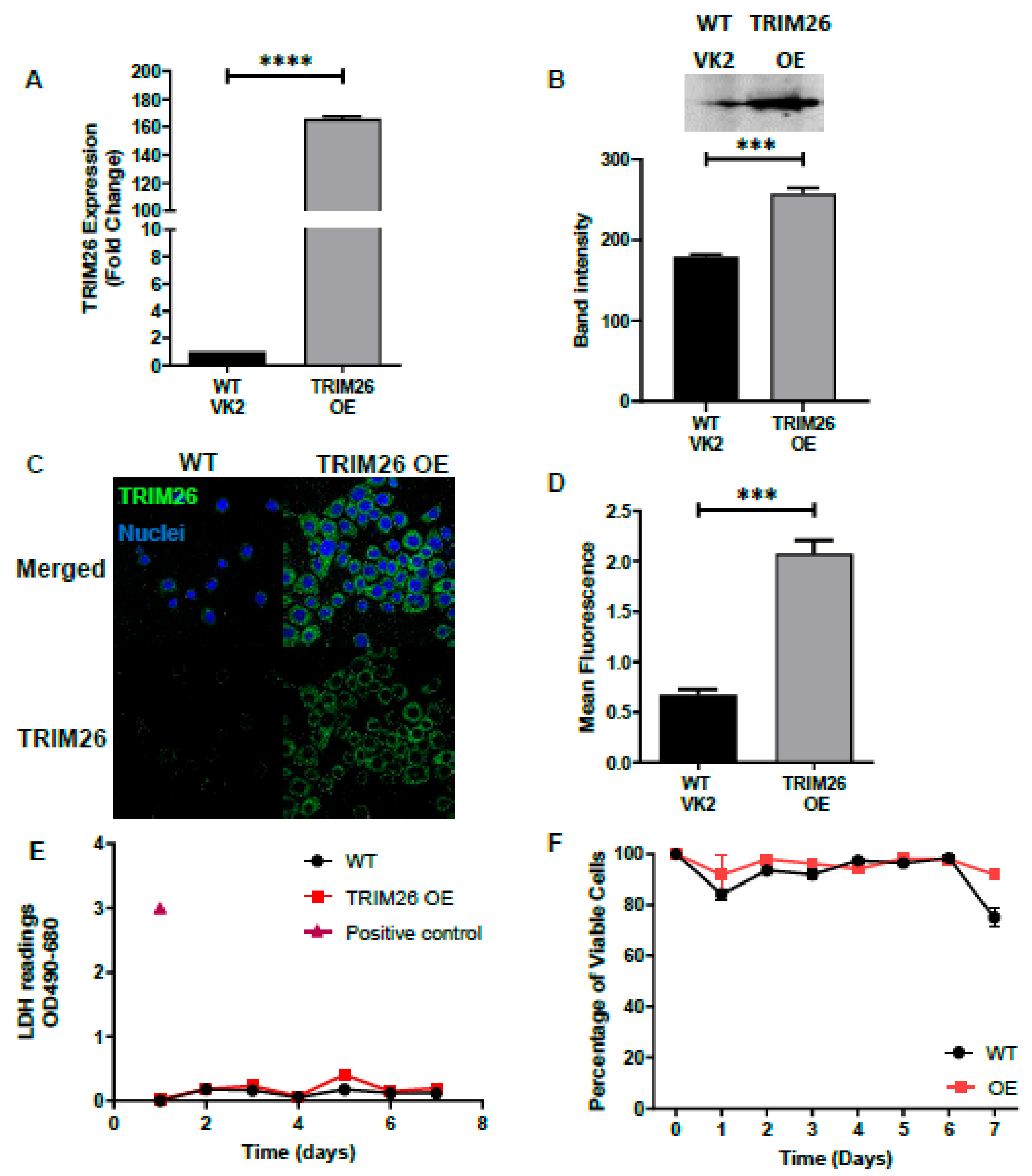 Viruses 13 00070 g002