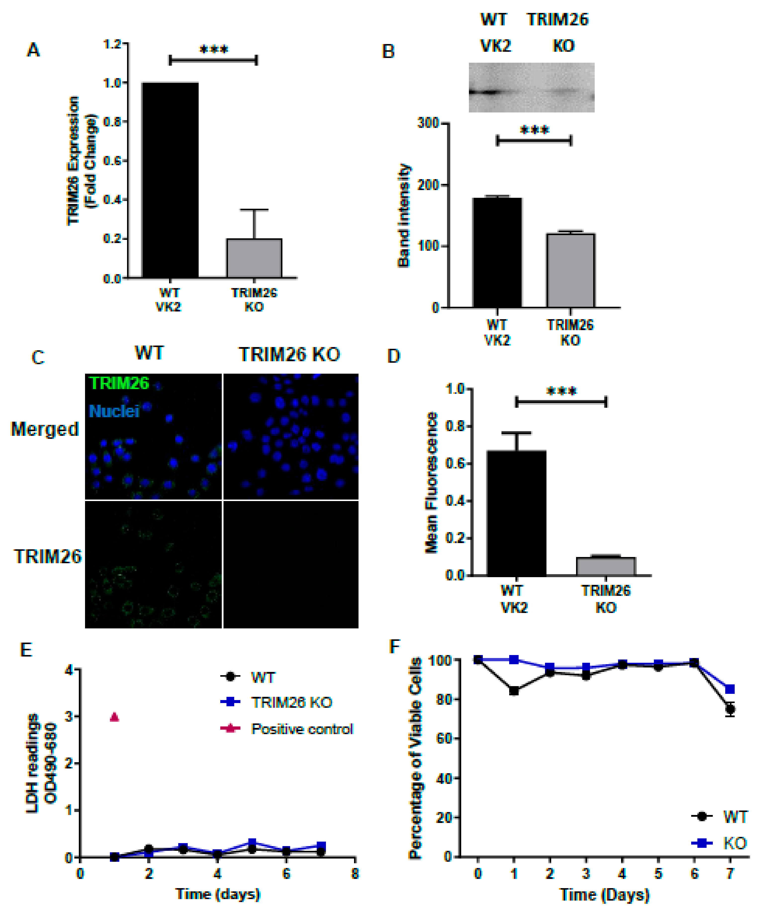 Viruses 13 00070 g003