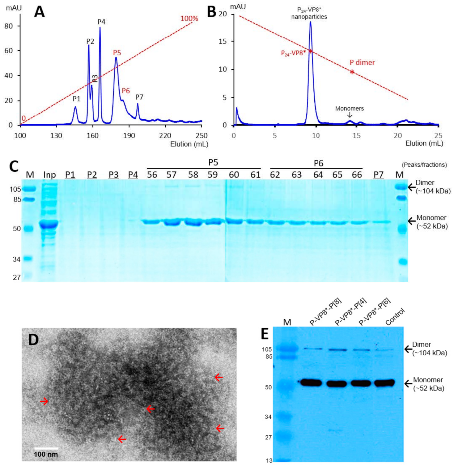 Viruses 13 00072 g001 Viruses 13 00072 g001