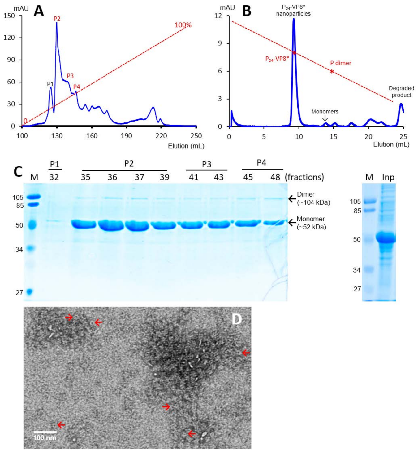 Viruses 13 00072 g002 Viruses 13 00072 g002