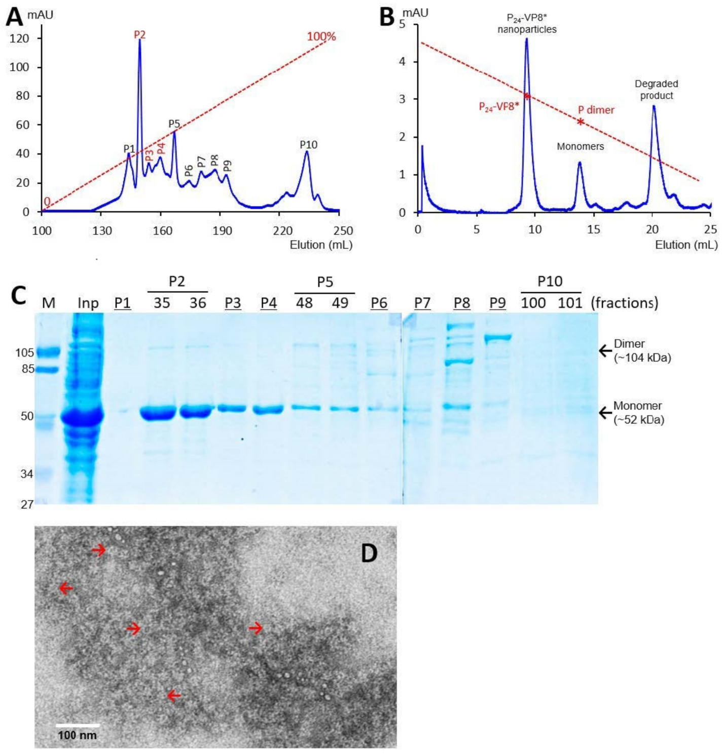 Viruses 13 00072 g003 Viruses 13 00072 g003