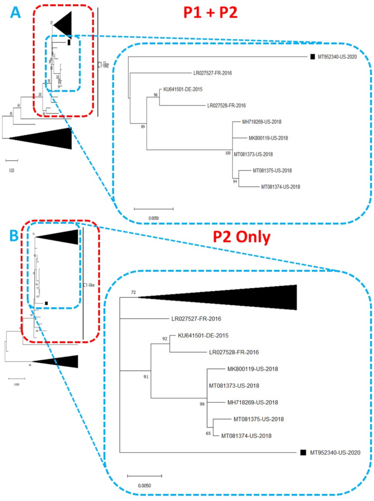 Viruses 13 00074 g001 Viruses 13 00074 g001