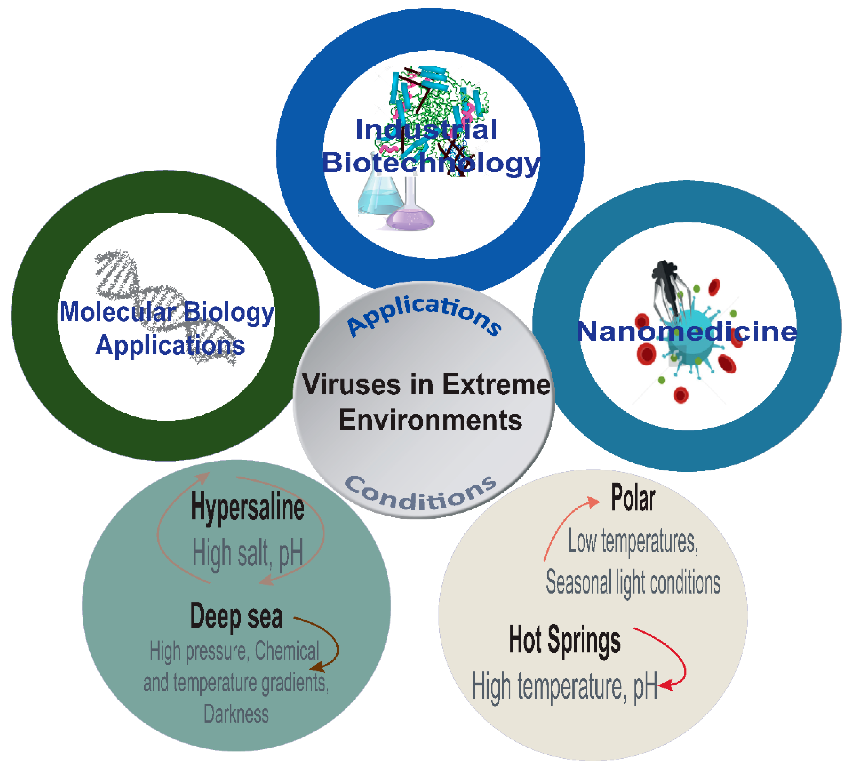 Viruses 13 00081 g001