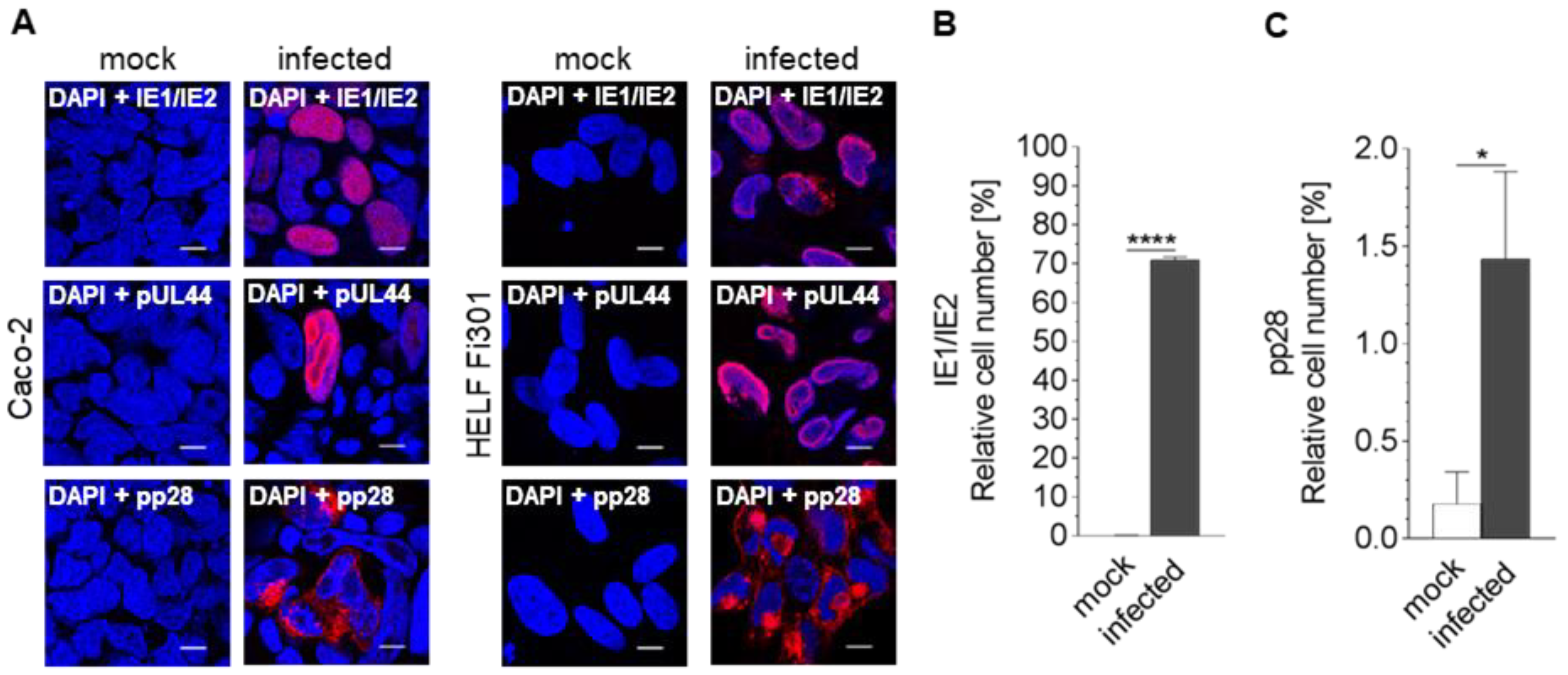 Viruses 13 00083 g001 Viruses 13 00083 g001