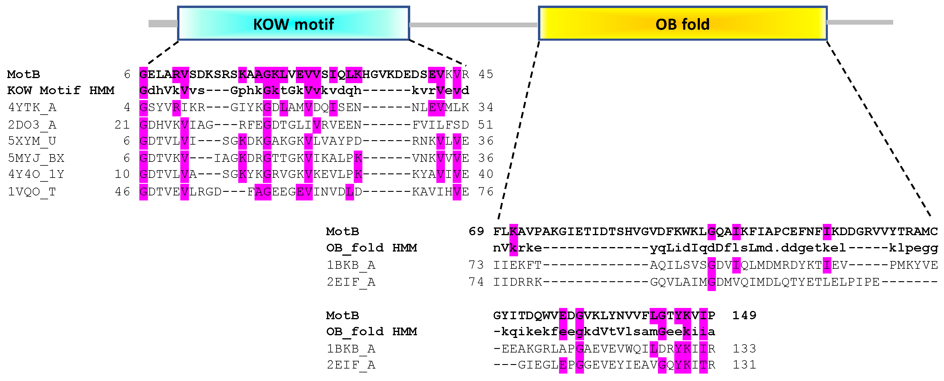 Viruses 13 00084 g001 Viruses 13 00084 g001