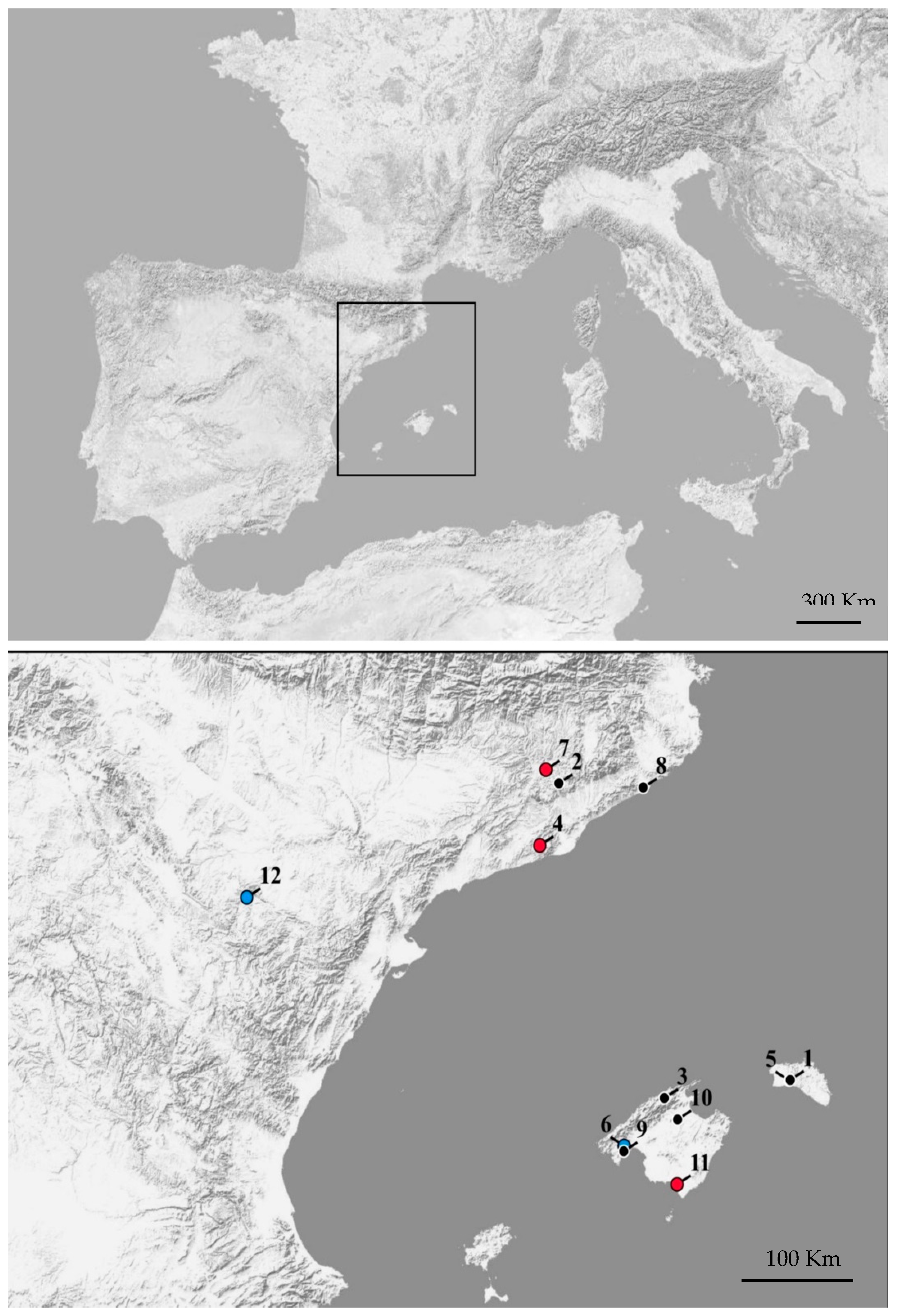 Viruses 13 00088 g001 Viruses 13 00088 g001