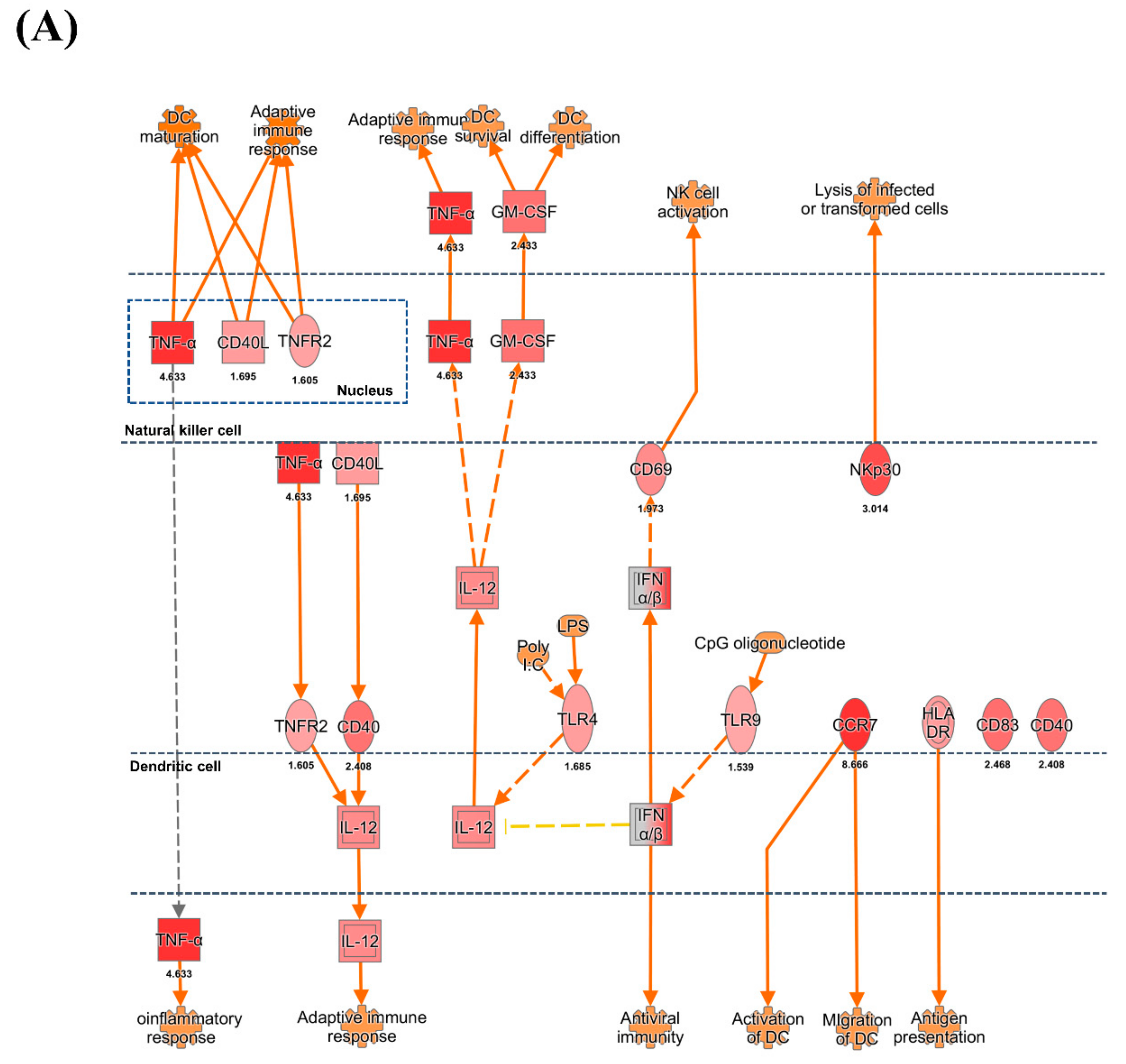 Viruses 13 00092 g003a Viruses 13 00092 g003a
