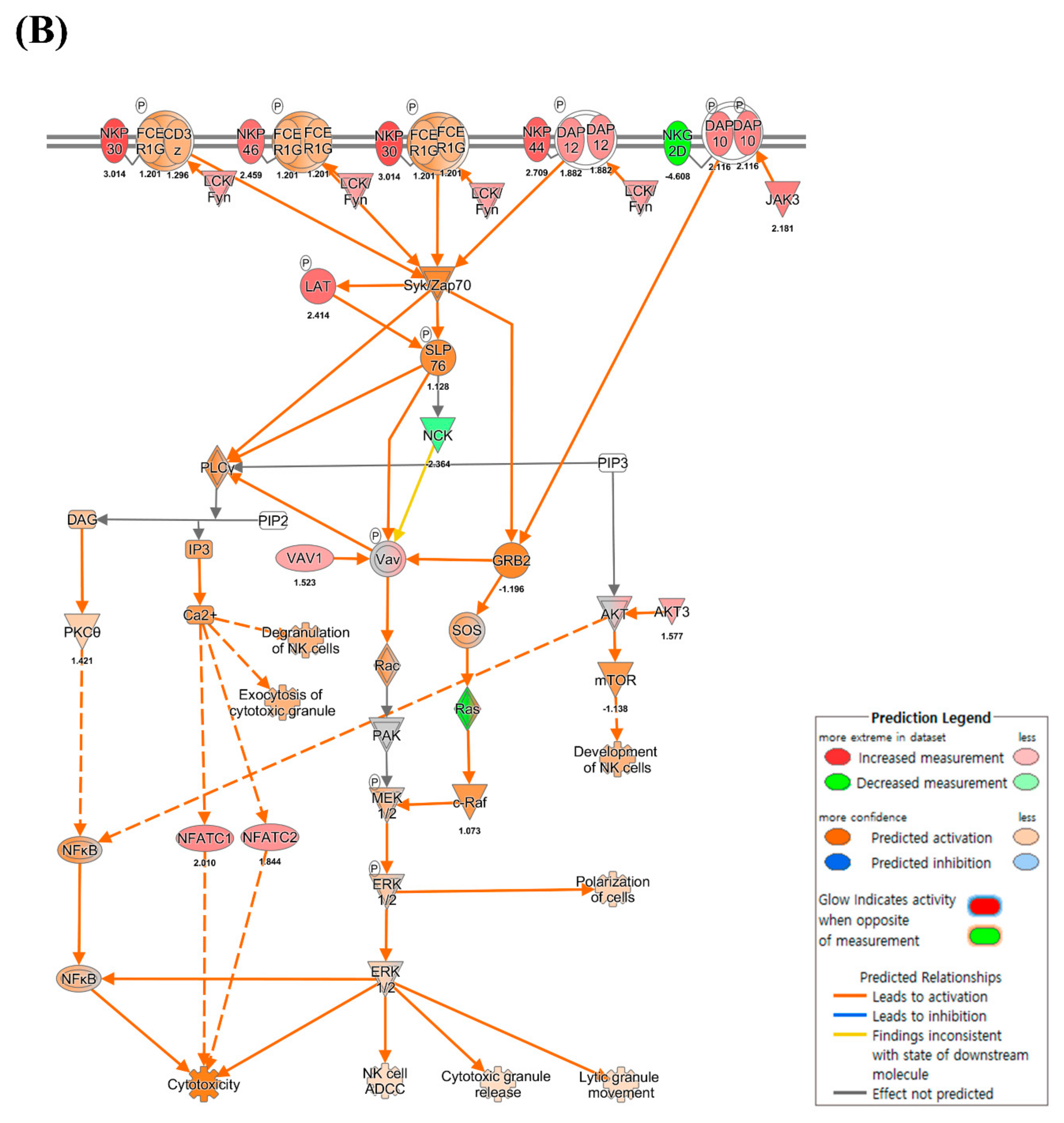 Viruses 13 00092 g003b Viruses 13 00092 g003b