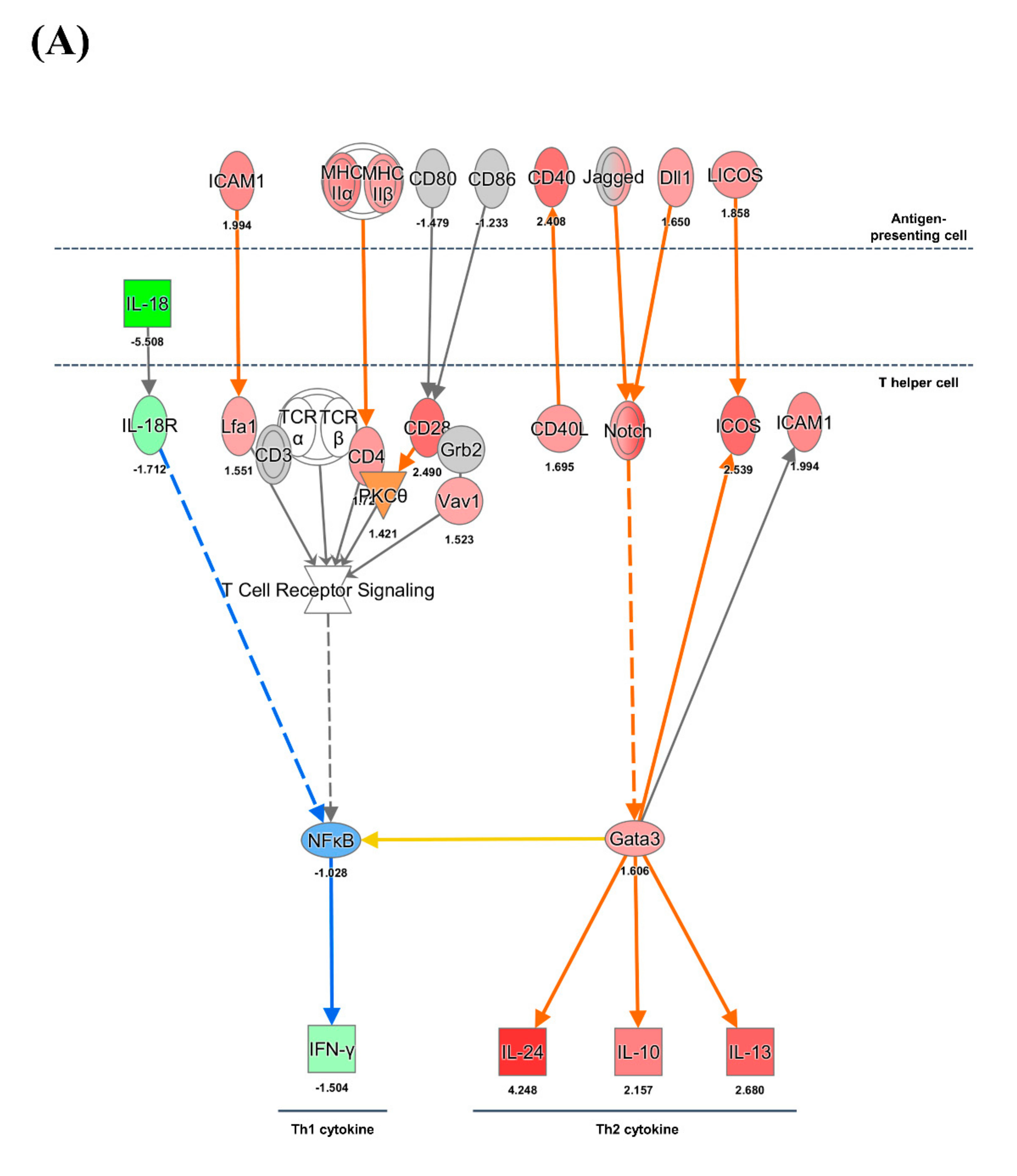 Viruses 13 00092 g004a Viruses 13 00092 g004a