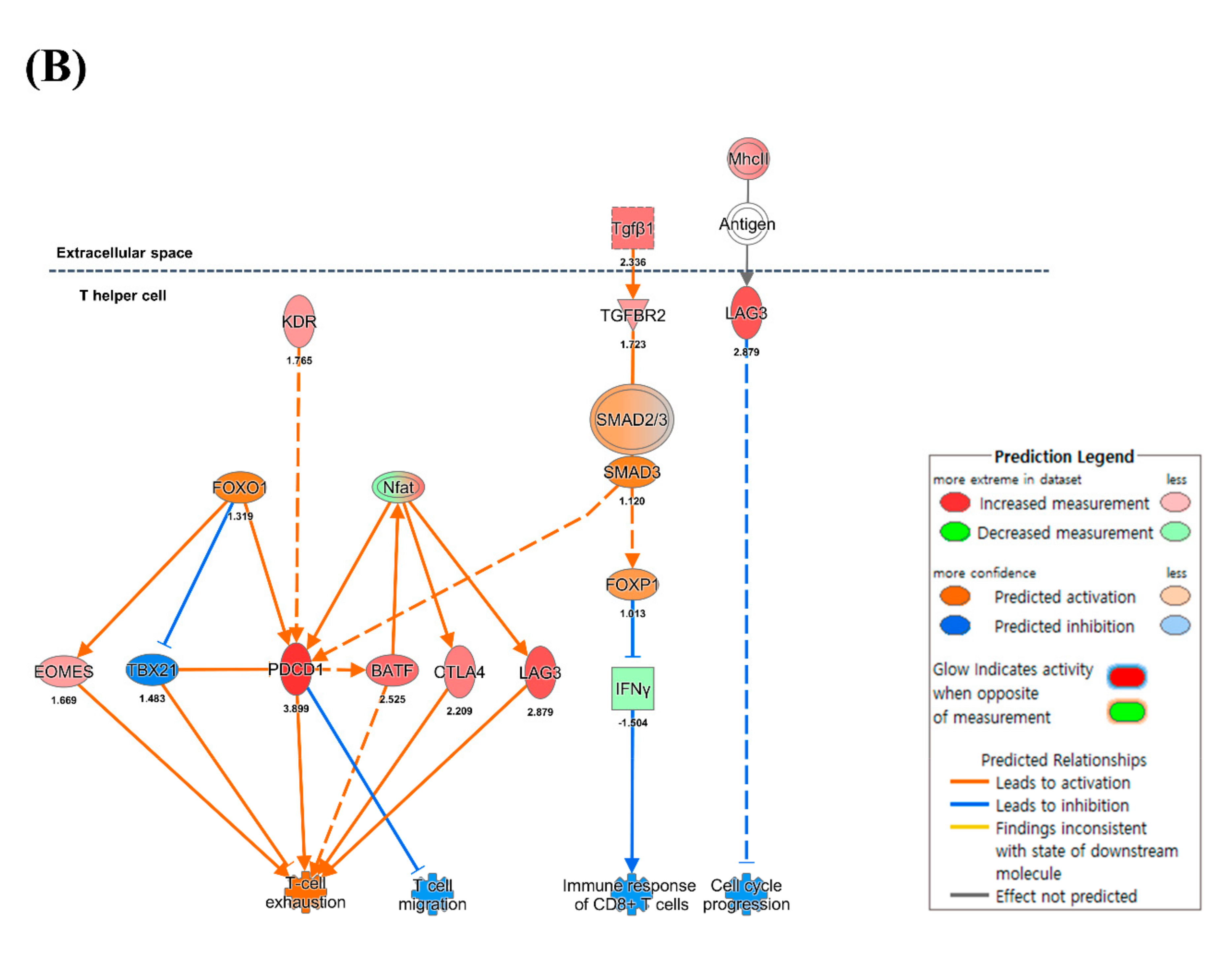 Viruses 13 00092 g004b Viruses 13 00092 g004b