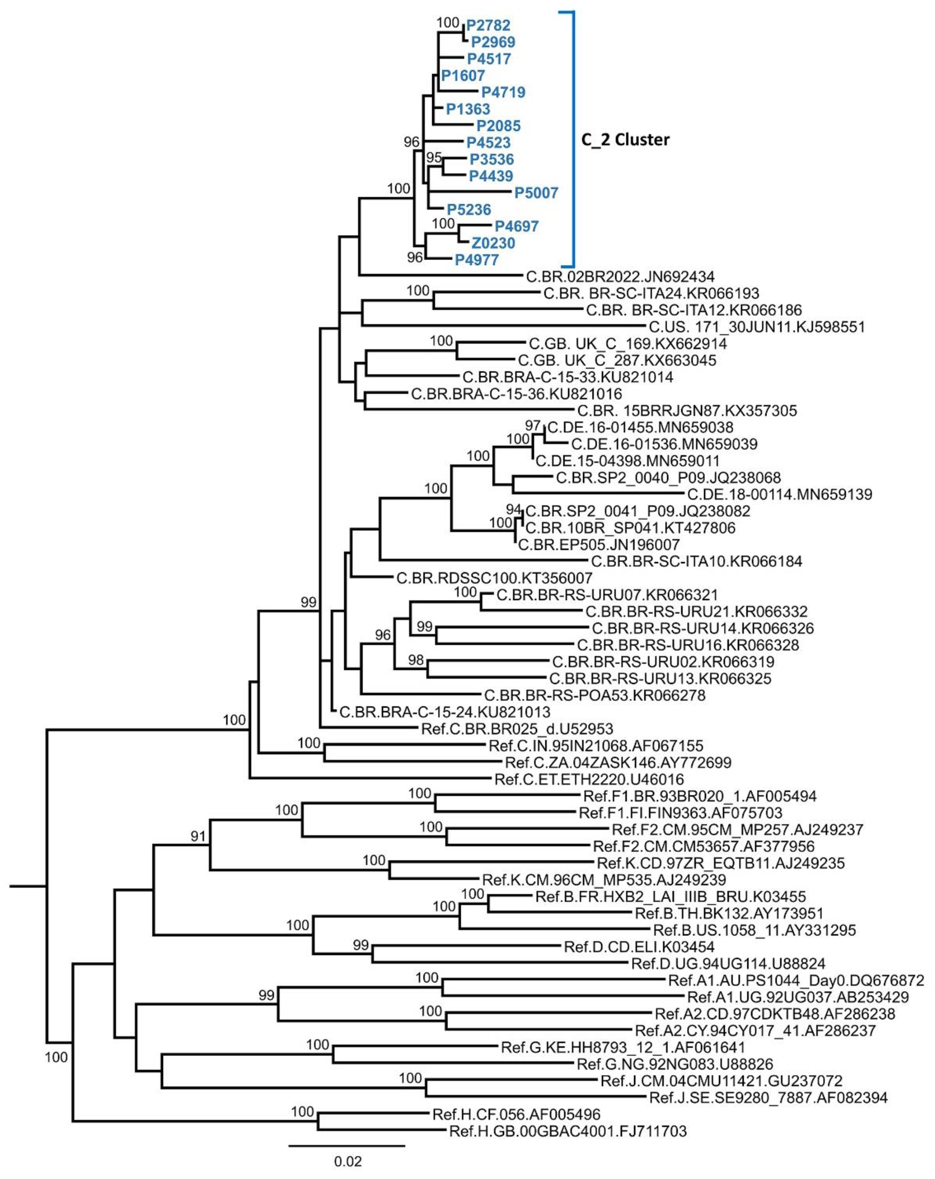 Viruses 13 00093 g001 Viruses 13 00093 g001