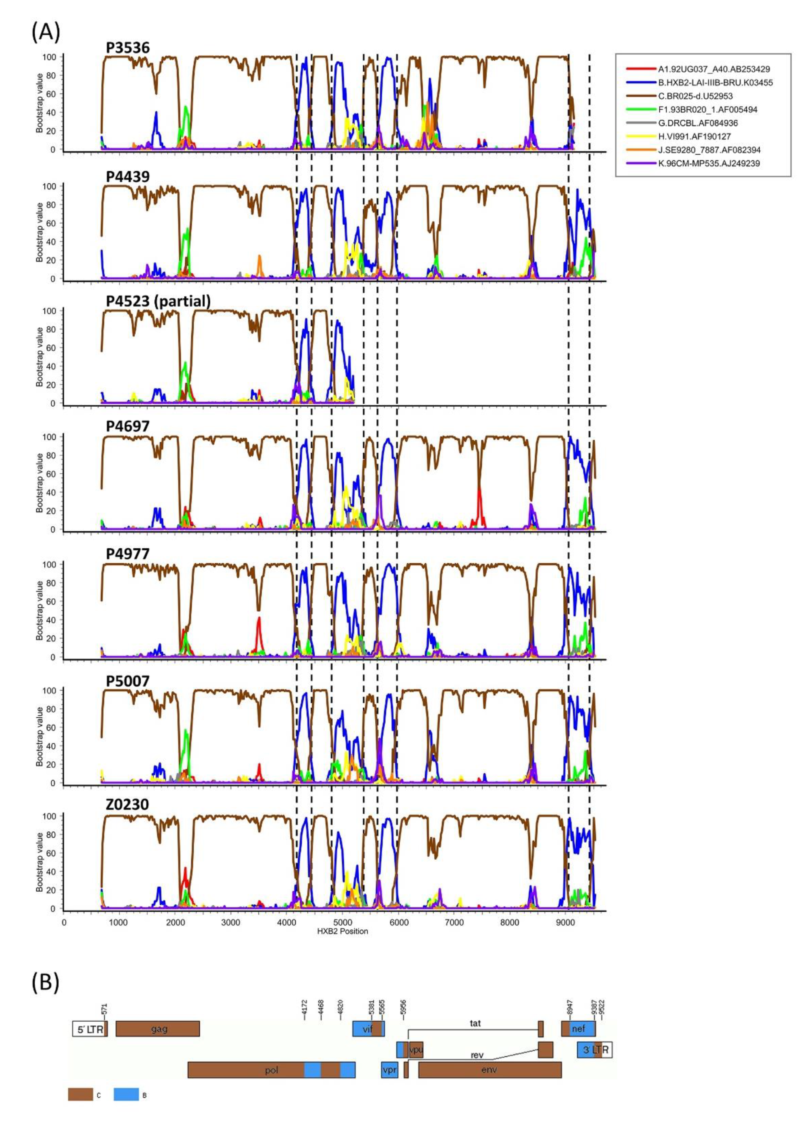 Viruses 13 00093 g002 Viruses 13 00093 g002
