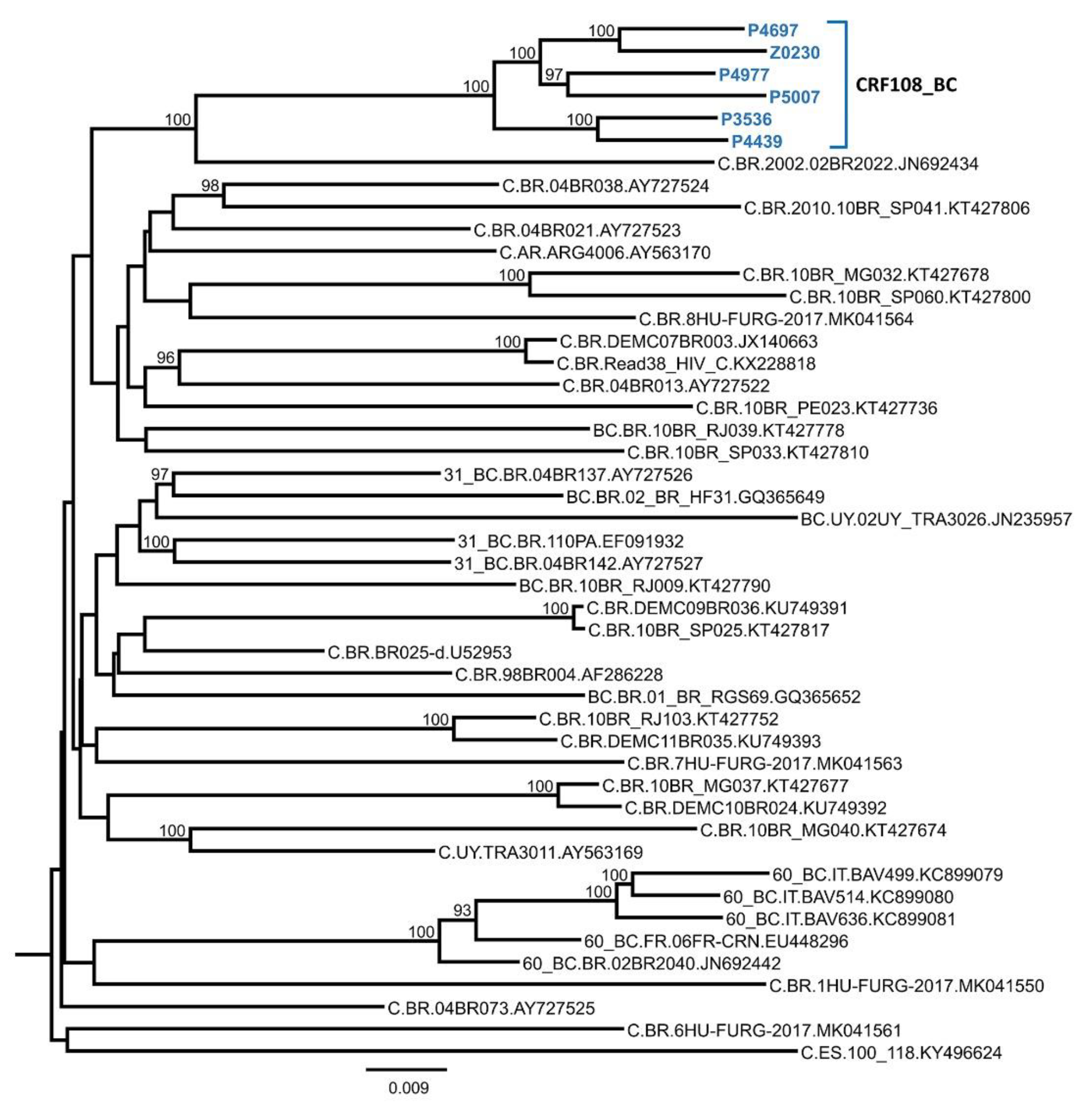 Viruses 13 00093 g004 Viruses 13 00093 g004