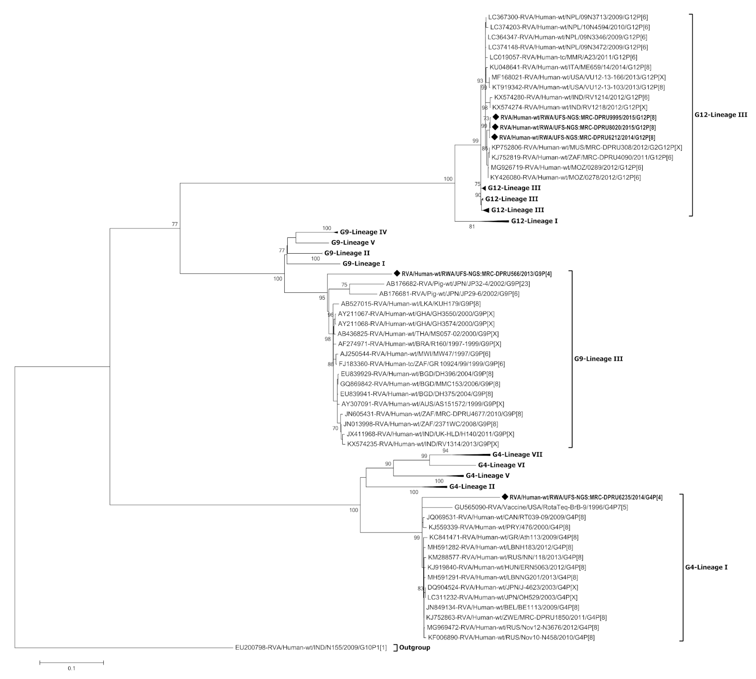 Viruses 13 00095 g003 Viruses 13 00095 g003