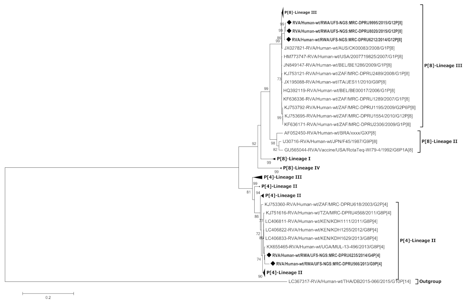 Viruses 13 00095 g004 Viruses 13 00095 g004