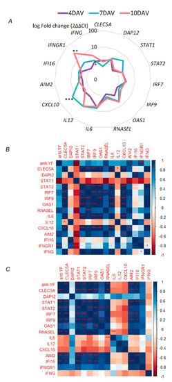 Viruses Free Full Text Activation Of An Effective Immune Response After Yellow Fever Vaccination Is Associated With The Genetic Background And Early Response Of Ifn G And Clec5a Html