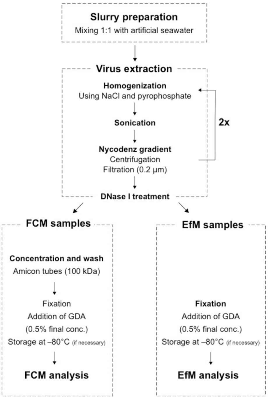 Viruses 13 00102 g001