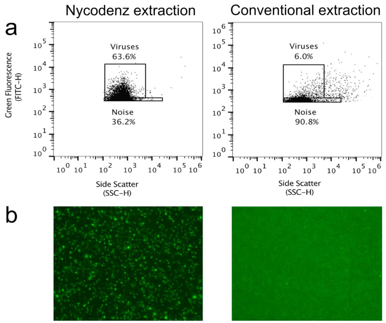 Viruses 13 00102 g002
