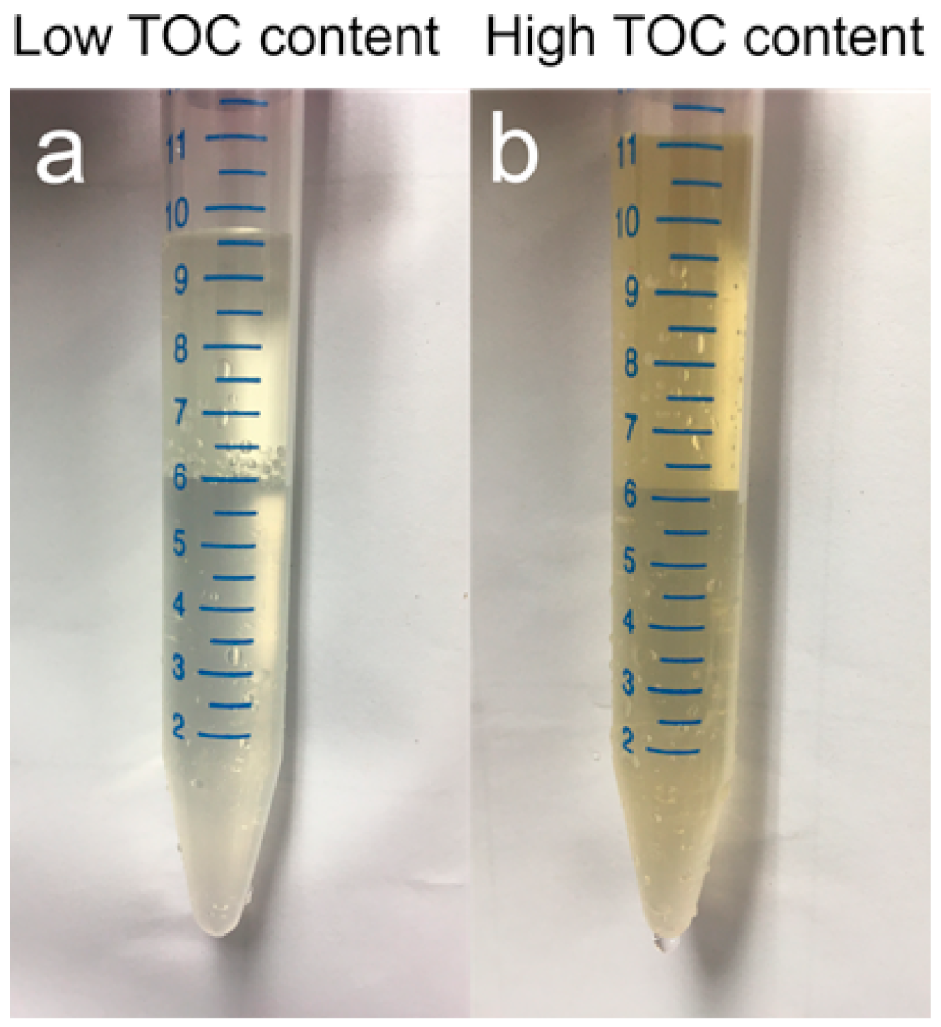 Viruses 13 00102 g005