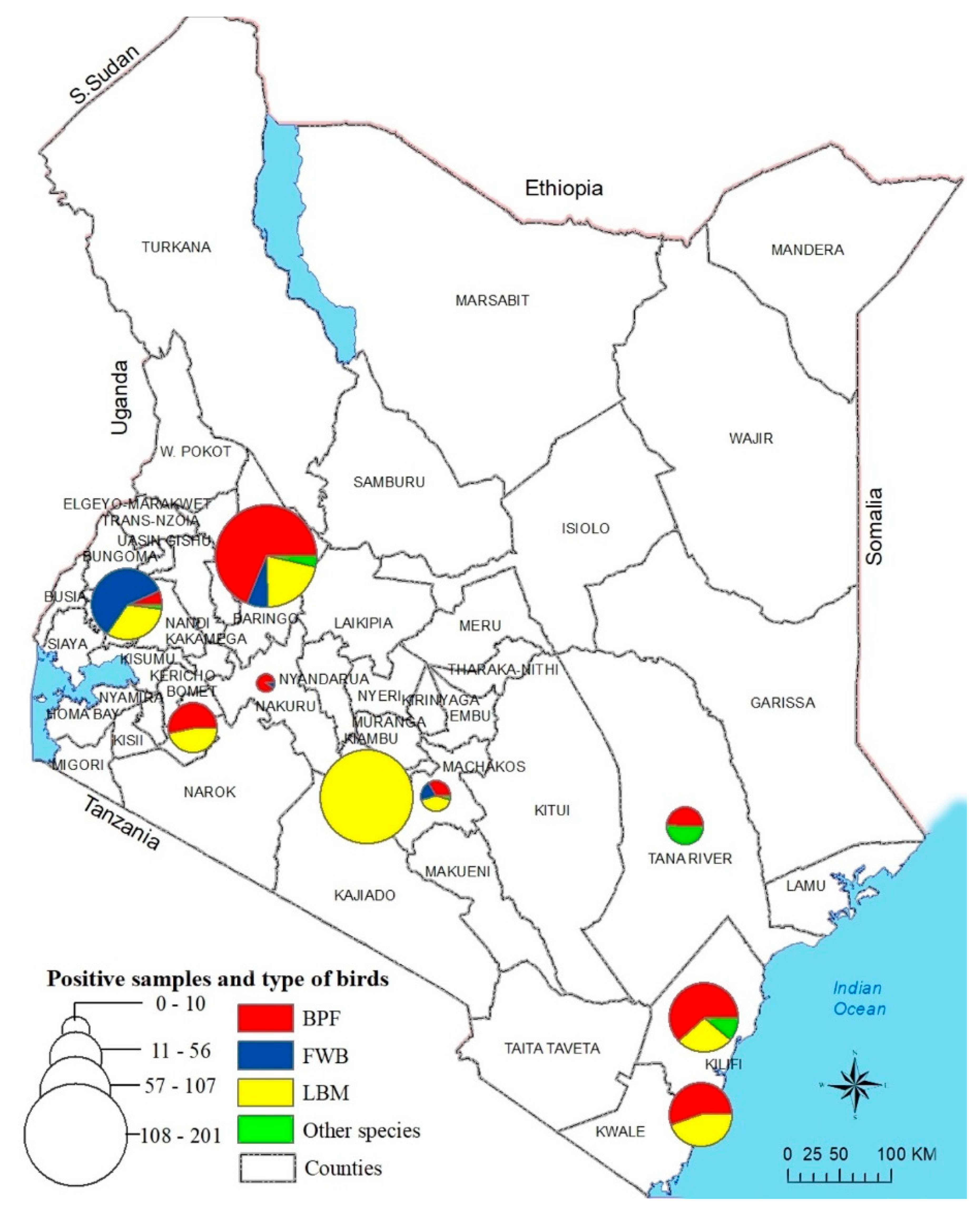 Viruses 13 00103 g001 Viruses 13 00103 g001
