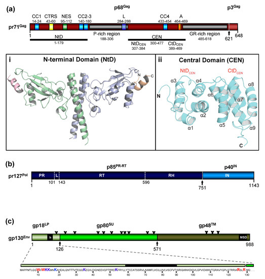 Viruses 13 00105 g002 550