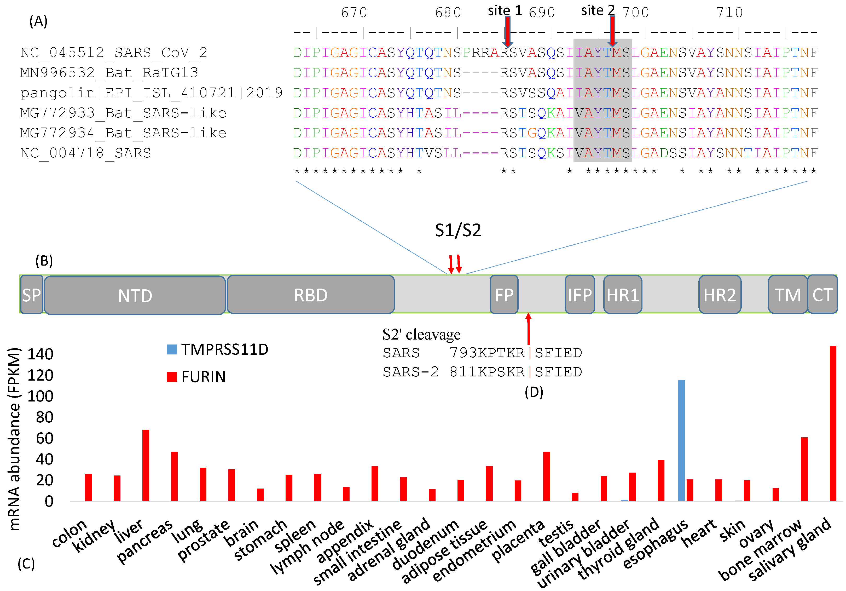 Viruses 13 00109 g002 Viruses 13 00109 g002