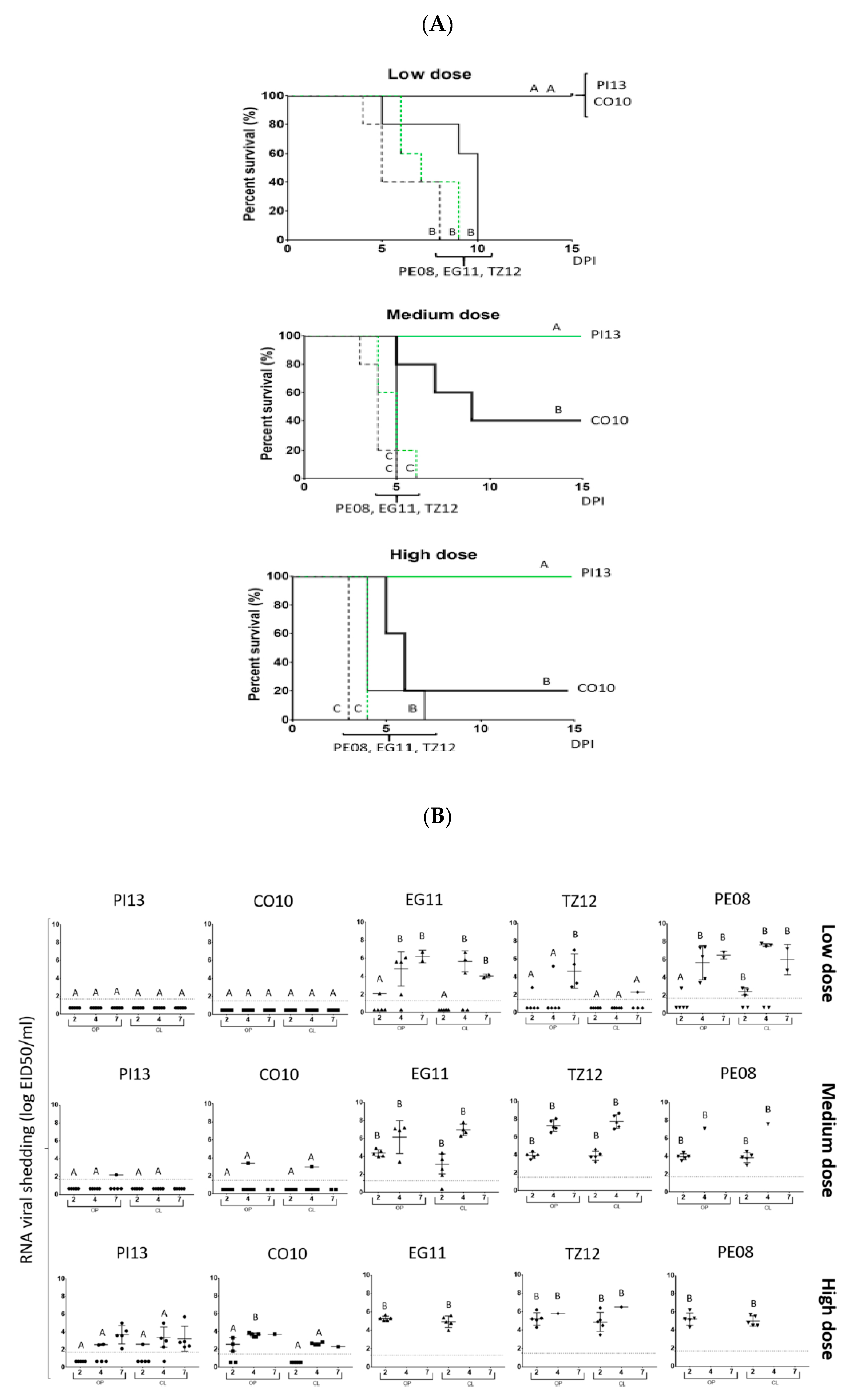 Viruses 13 00110 g006 Viruses 13 00110 g006