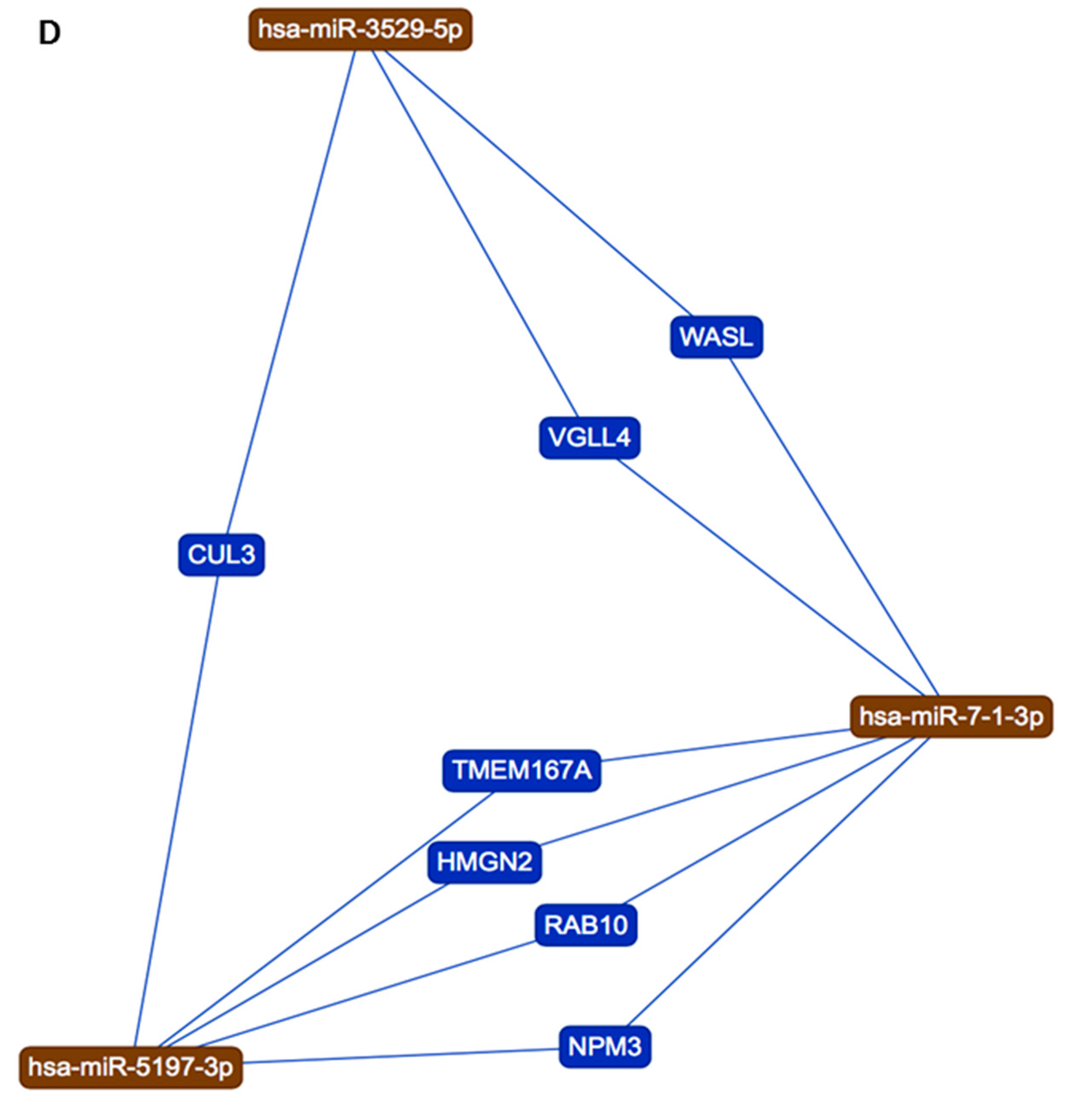 Viruses 13 00117 g004b Viruses 13 00117 g004b